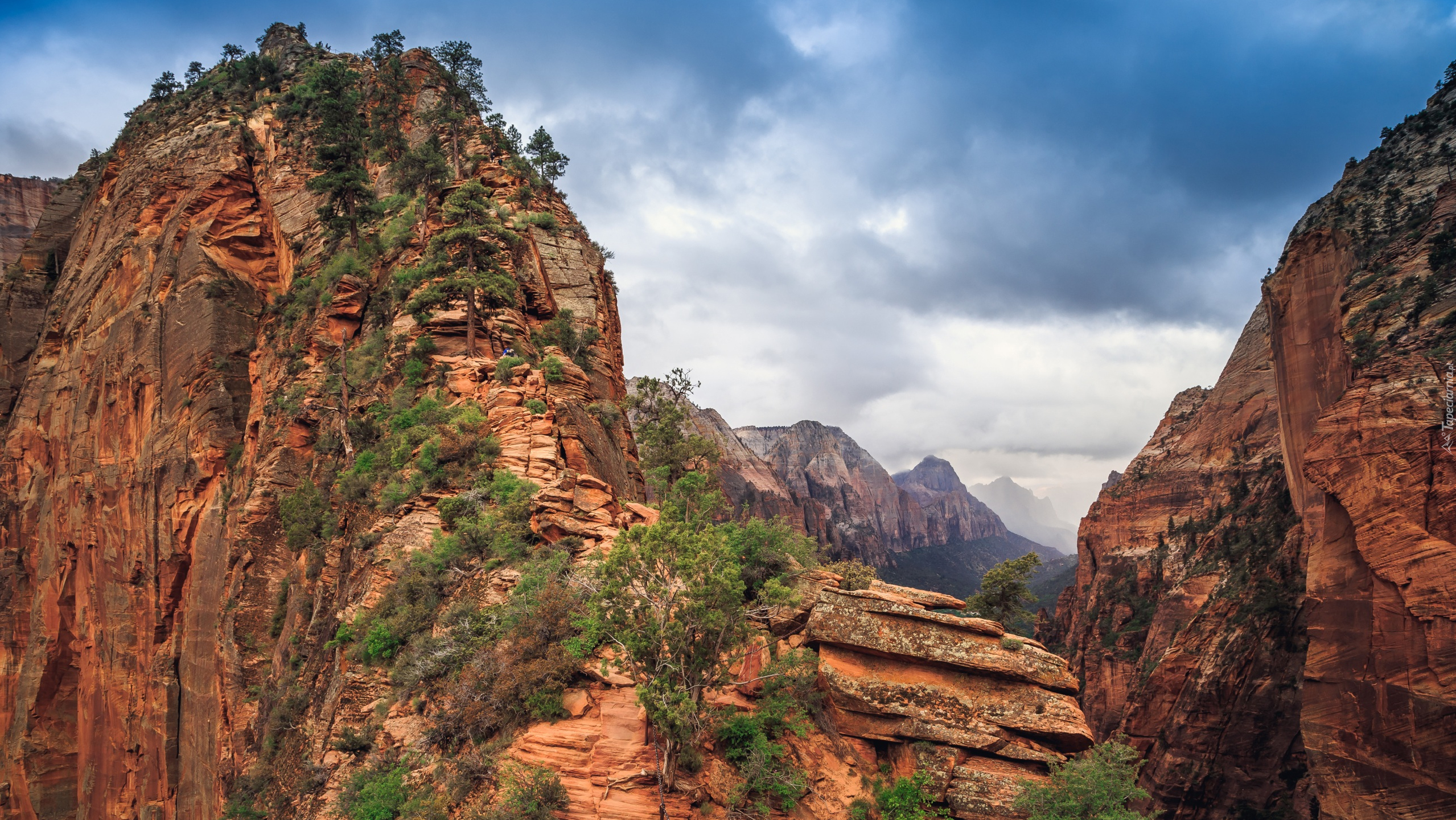 Park Narodowy Zion, Formacja skalna, Angels Landing, Kanion, Skały, Stan Utah, Stany Zjednoczone