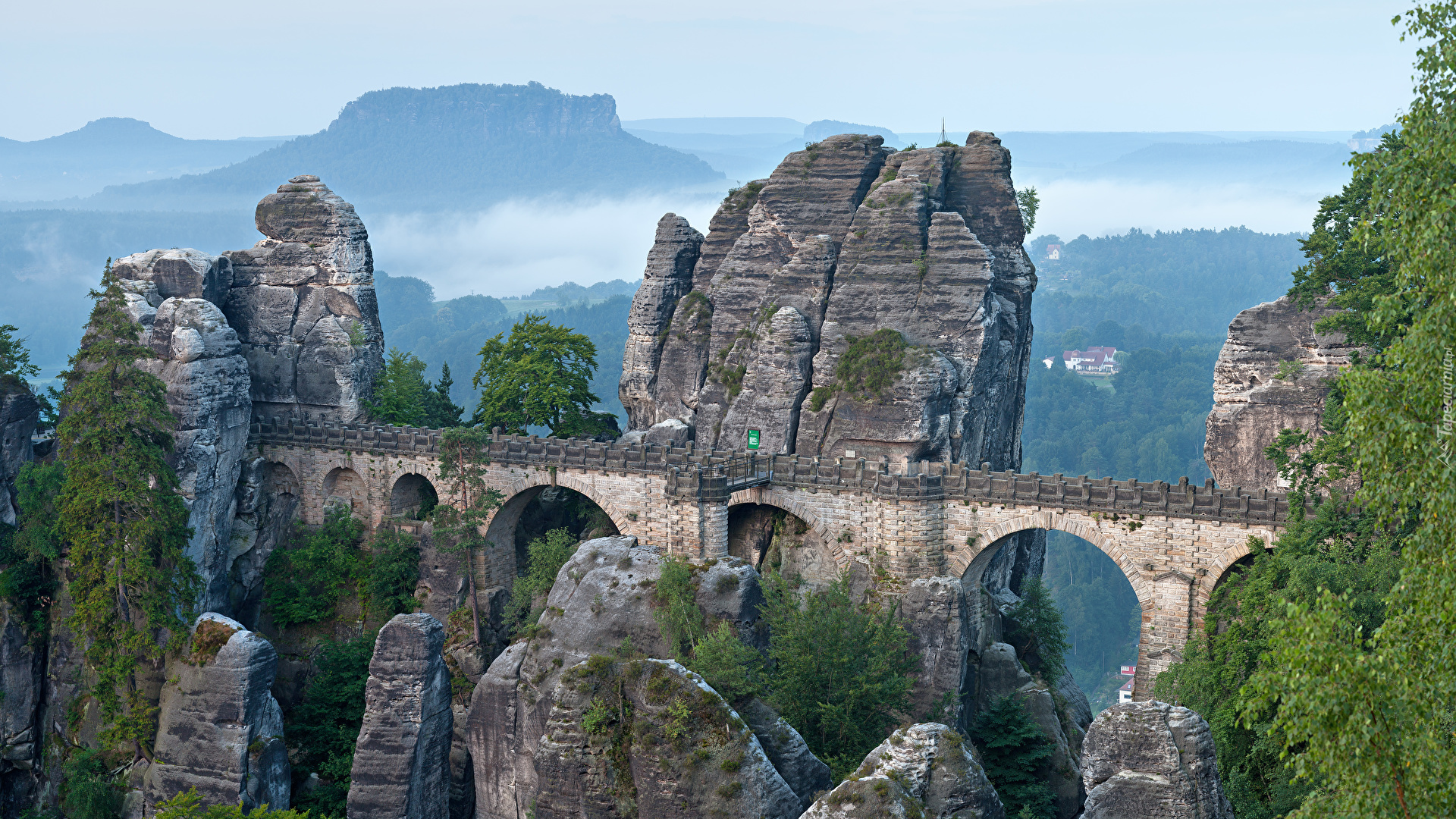 Góry Połabskie, Drzewa, Most, Skały, Formacja skalna, Bastei, Park Narodowy Saskiej Szwajcarii, Niemcy