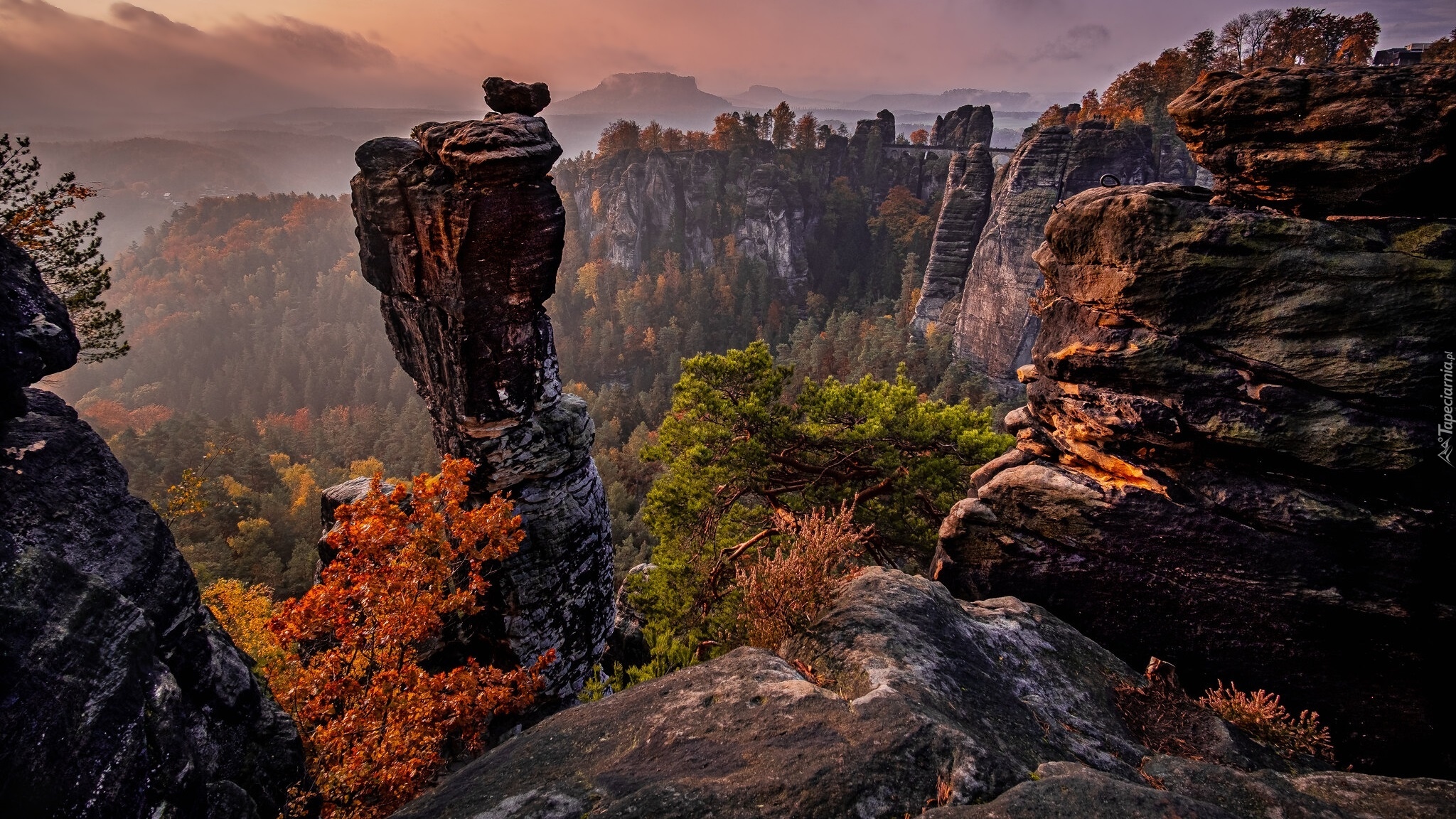 Formacja skalna, Bastei, Skały, Góry, Drzewa, Park Narodowy Saskiej Szwajcarii, Niemcy