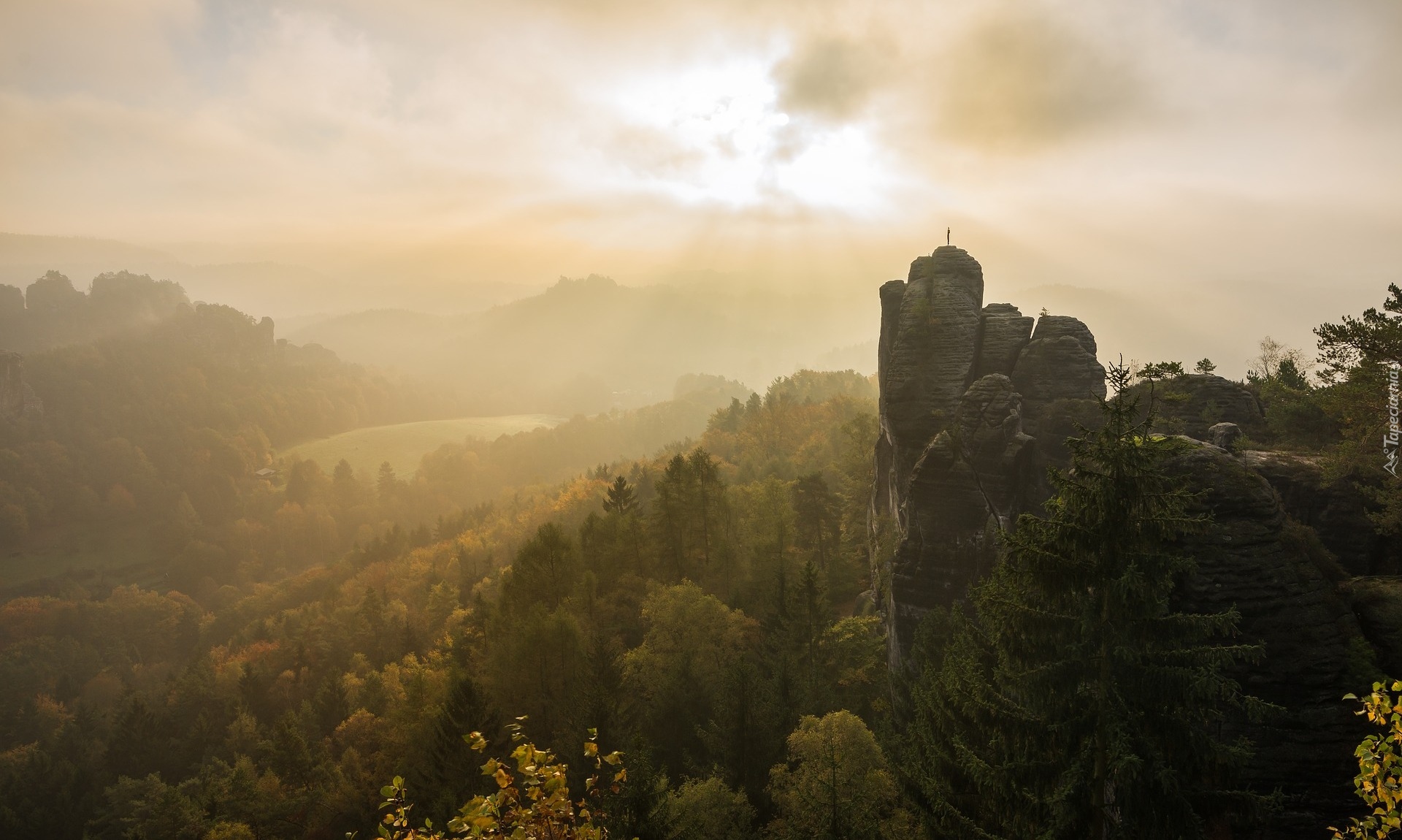 Niemcy, Góry Połabskie, Park Narodowy Saskiej Szwajcarii, Formacja skalna Bastei, Skały, Drzewa, Mgła