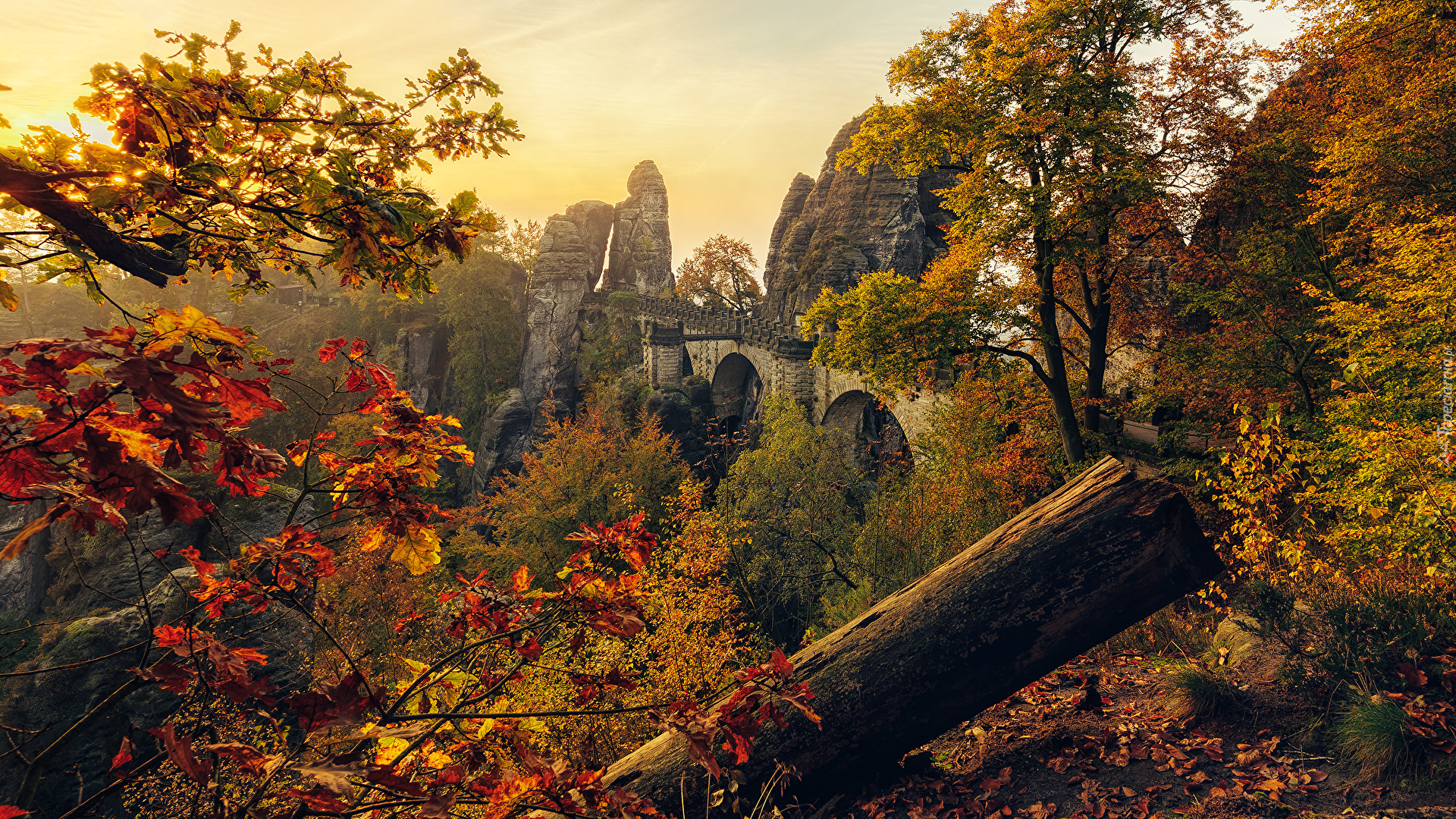 Jesień, Drzewa, Skały, Formacja skalna, Bastei, Góry Połabskie, Park Narodowy Saskiej Szwajcarii, Niemcy