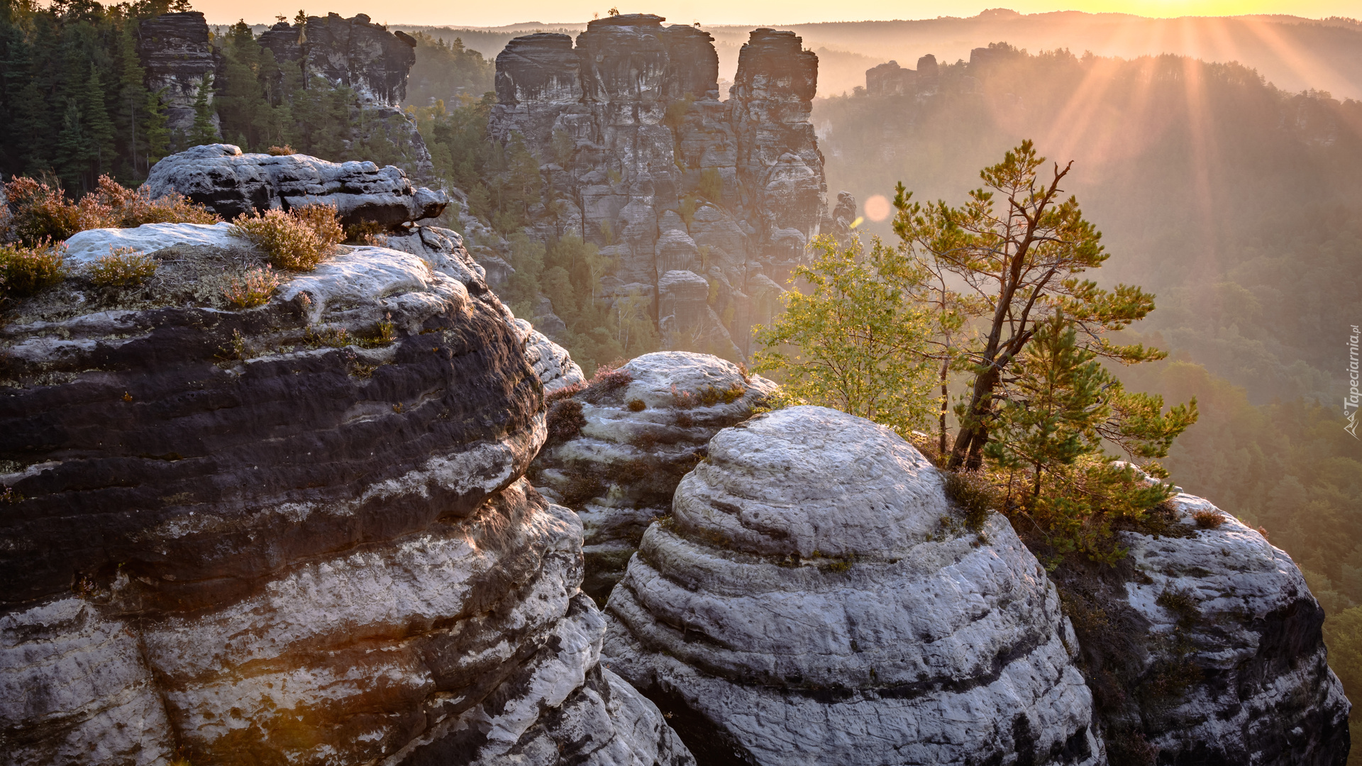 Niemcy, Park Narodowy Saskiej Szwajcarii, Bastei, Skały, Góry Połabskie, Drzewa, Promienie słońca