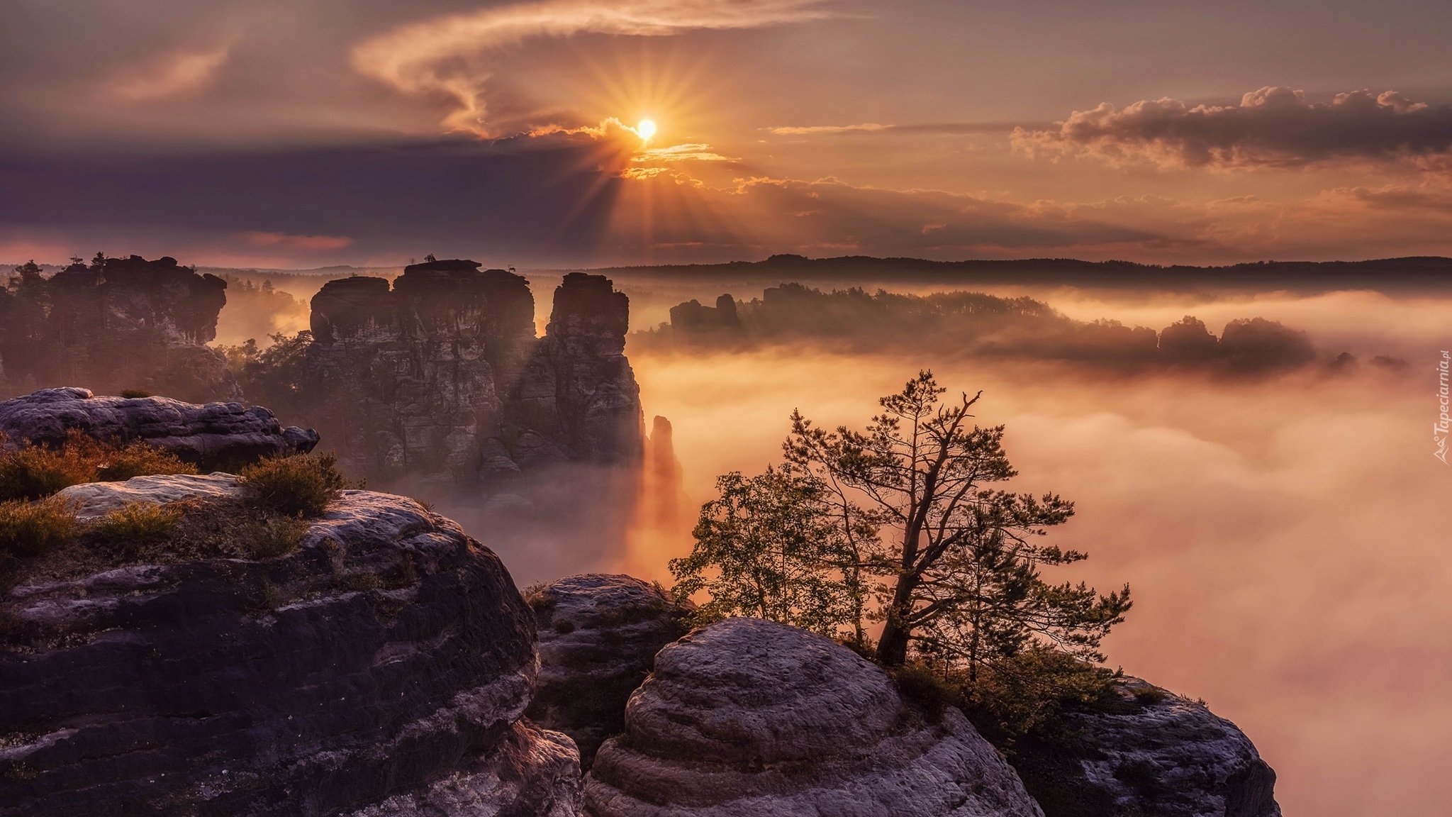 Park Narodowy Saskiej Szwajcarii, Skały Bastei, Góry Połabskie, Niemcy, Mgła, Drzewo, Wschód słońca, Promienie słońca, Chmury