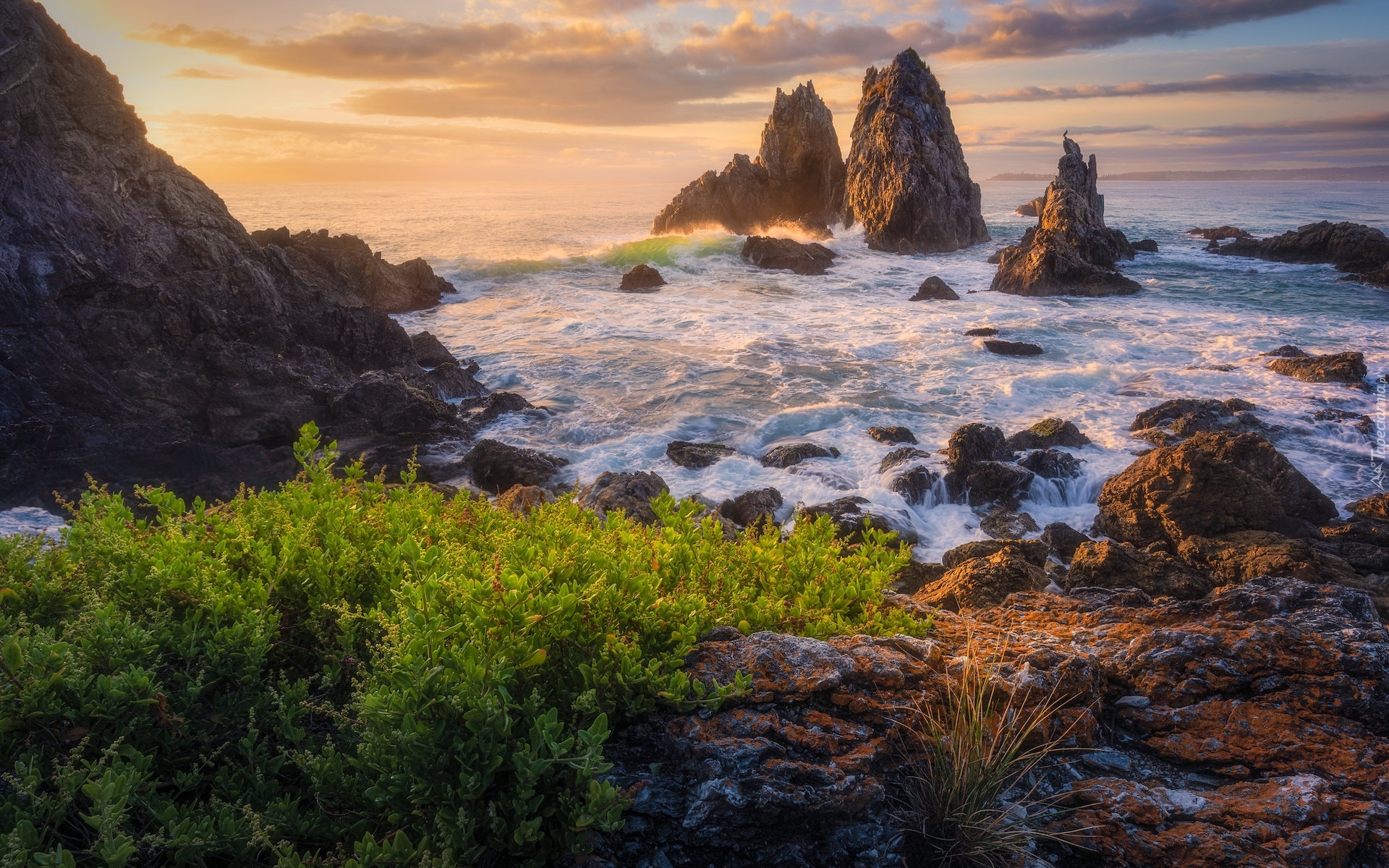 Australia, Bermagui, Wybrzeże, Sapphire Coast, Skały, Camel Rock, Morze, Roślinność, Wschód słońca