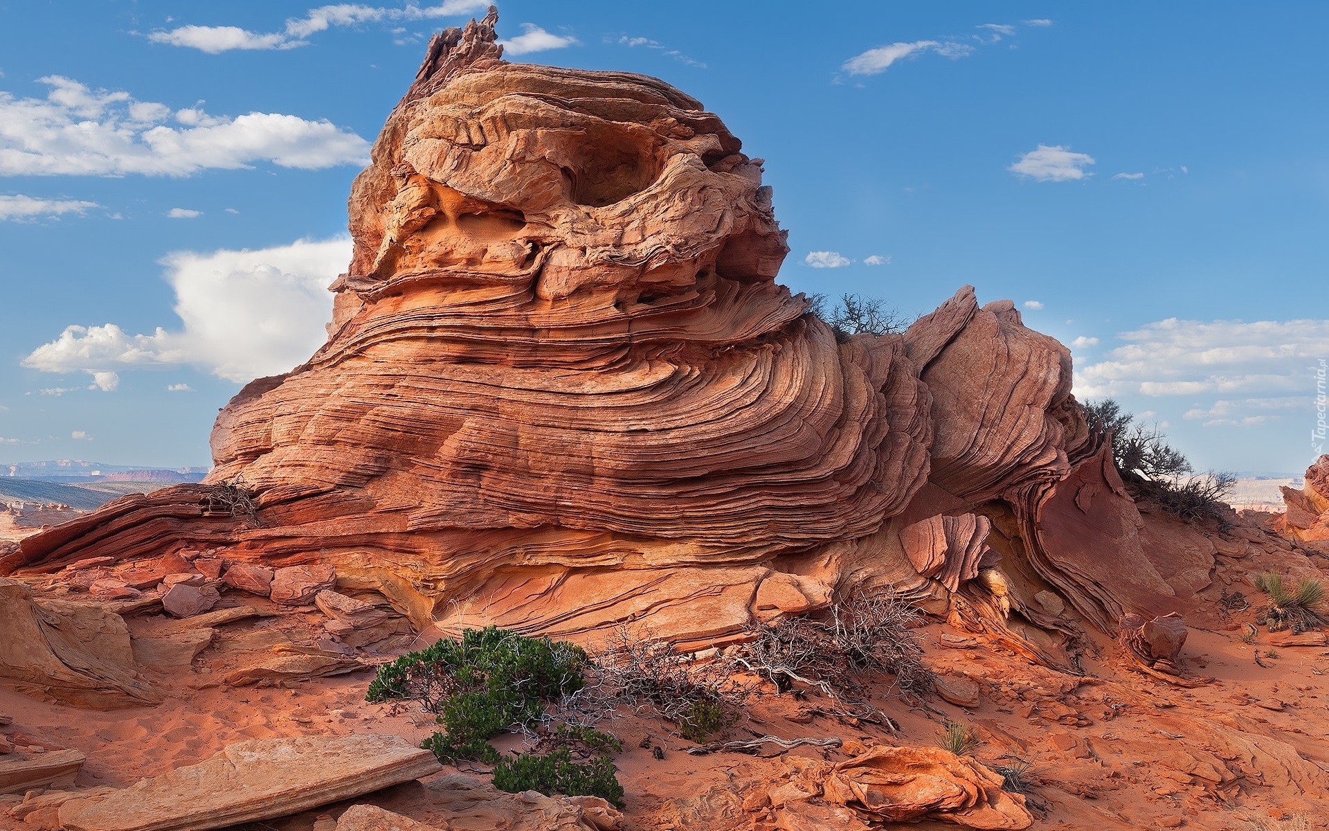 Góra, Skała, Formacja skalna, Coyote Buttes, Rezerwat, Paria Canyon-Vermilion Cliffs Wilderness, Arizona, Stany Zjednoczone