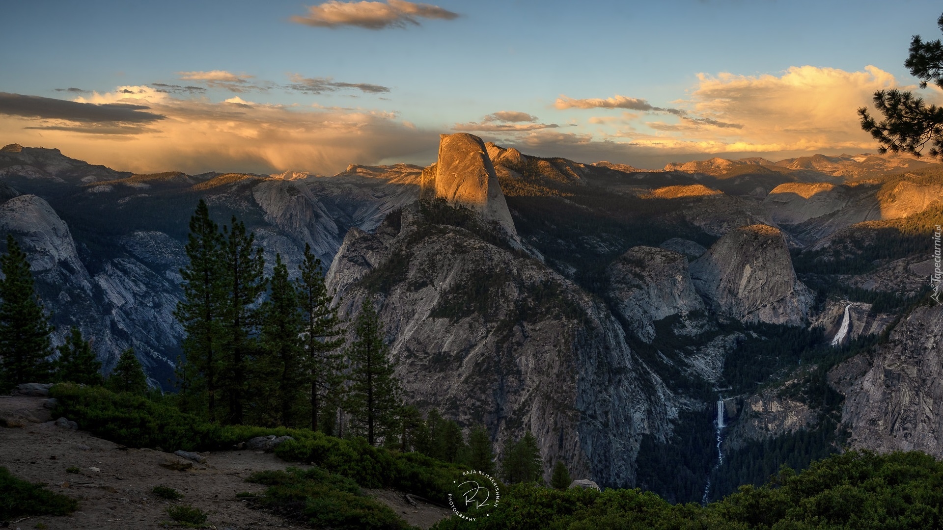 Stany Zjednoczone, Kalifornia, Park Narodowy Yosemite, Punk widokowy, Washburn Point, Góry, Half Dome, Drzewa, Zachód słońca