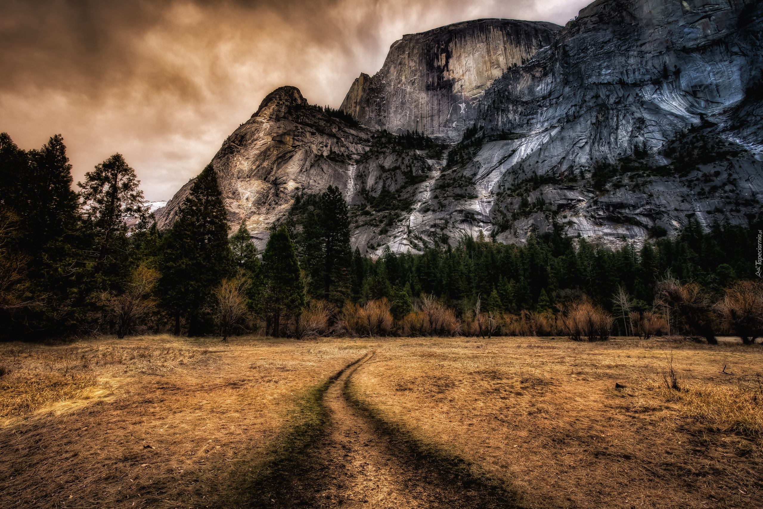 Stany Zjednoczone, Stan Kalifornia, Park Narodowy Yosemite, Góry Half Dome, Ścieżka, Drzewa