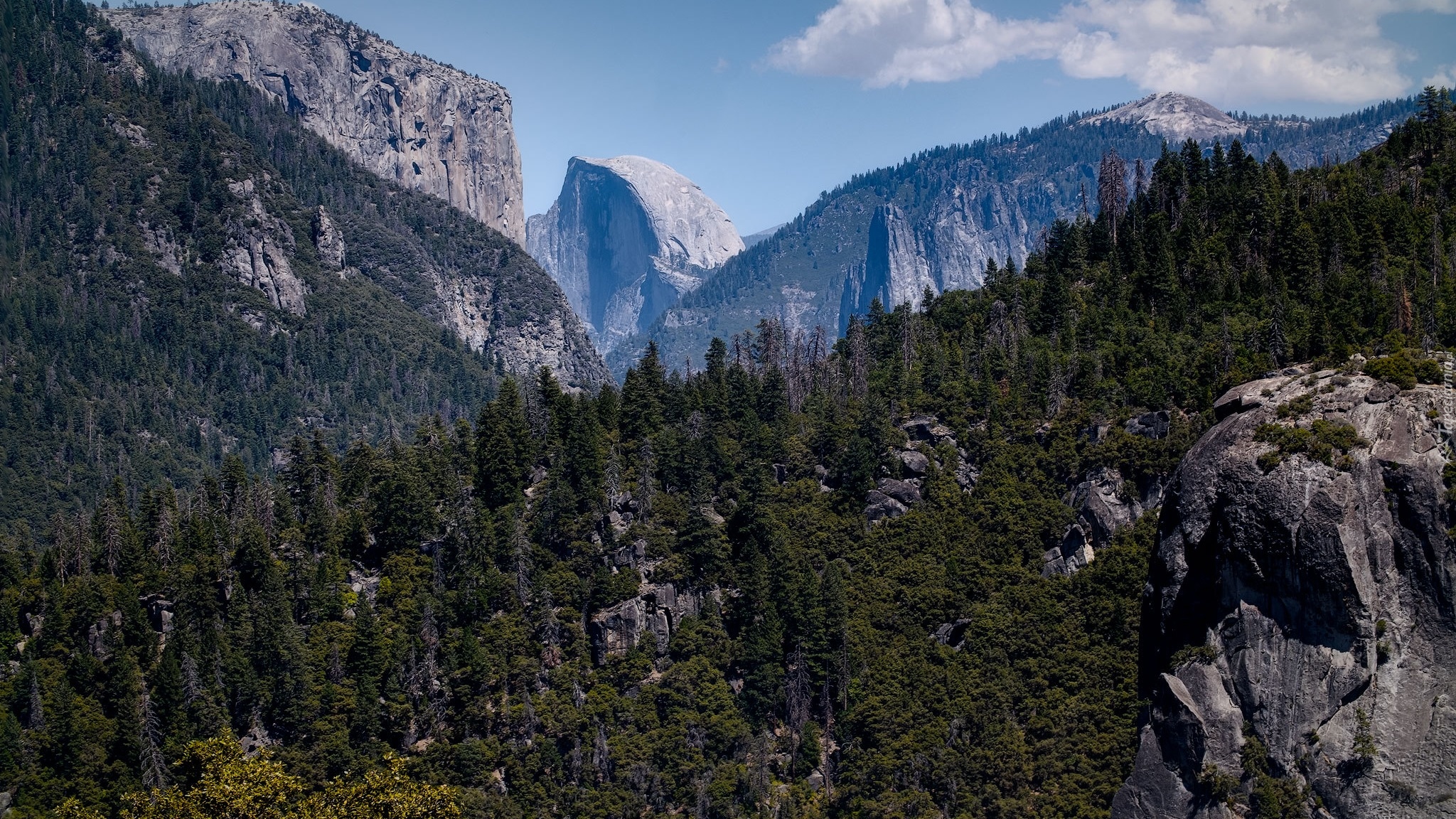 Góry, Sierra Nevada, Szczyt, Half Dome, Skały, Drzewa, Park Narodowy Yosemite, Kalifornia, Stany Zjednoczone