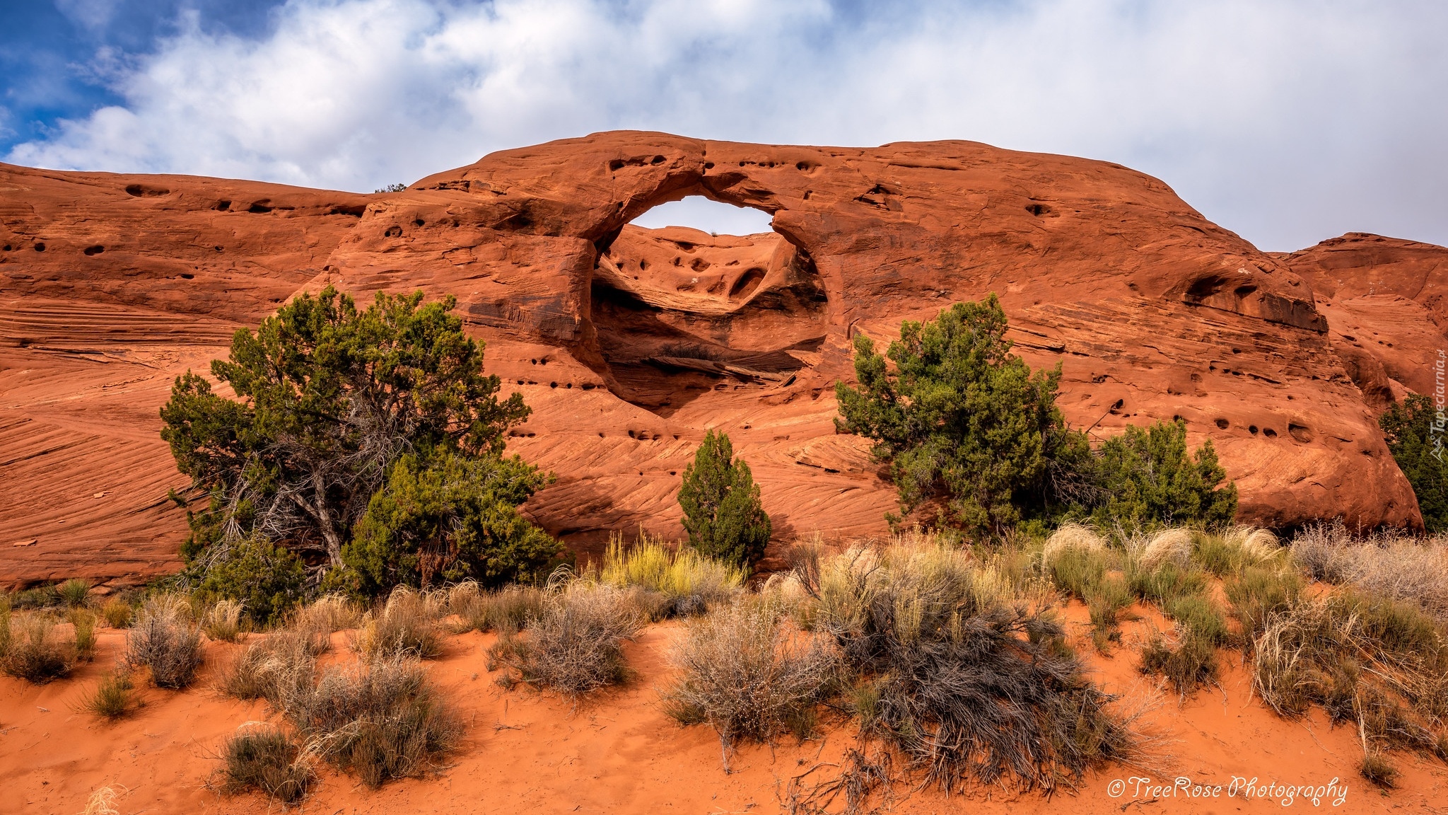 Stany Zjednoczone, Arizona, Dolina, Monument Valley, Skały, Formacja skalna, Honeymoon Arch, Drzewa, Krzewy