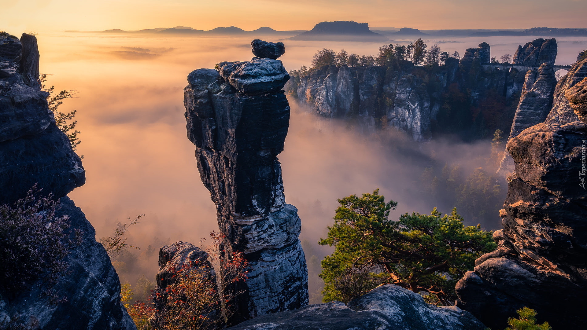 Góry Połabskie, Skały, Drzewa, Formacje skalne, Mgła, Wschód słońca, Park Narodowy Saskiej Szwajcarii, Niemcy