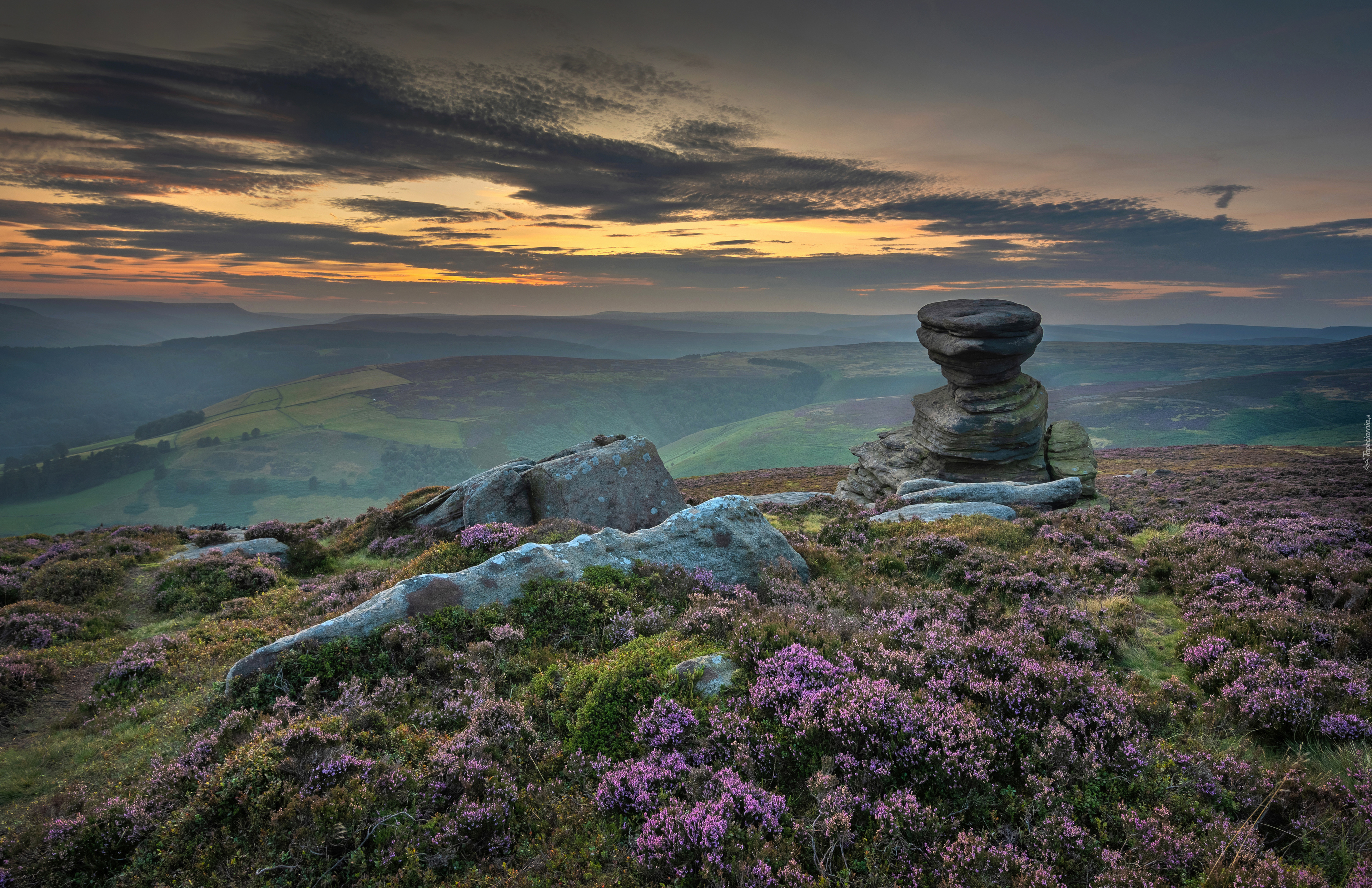 Wrzosowisko, Wzgórze, Skały, Kamienie, Park Narodowy Peak District, Formacja skalna, Salt Cellar, Hrabstwo Derbyshire, Anglia