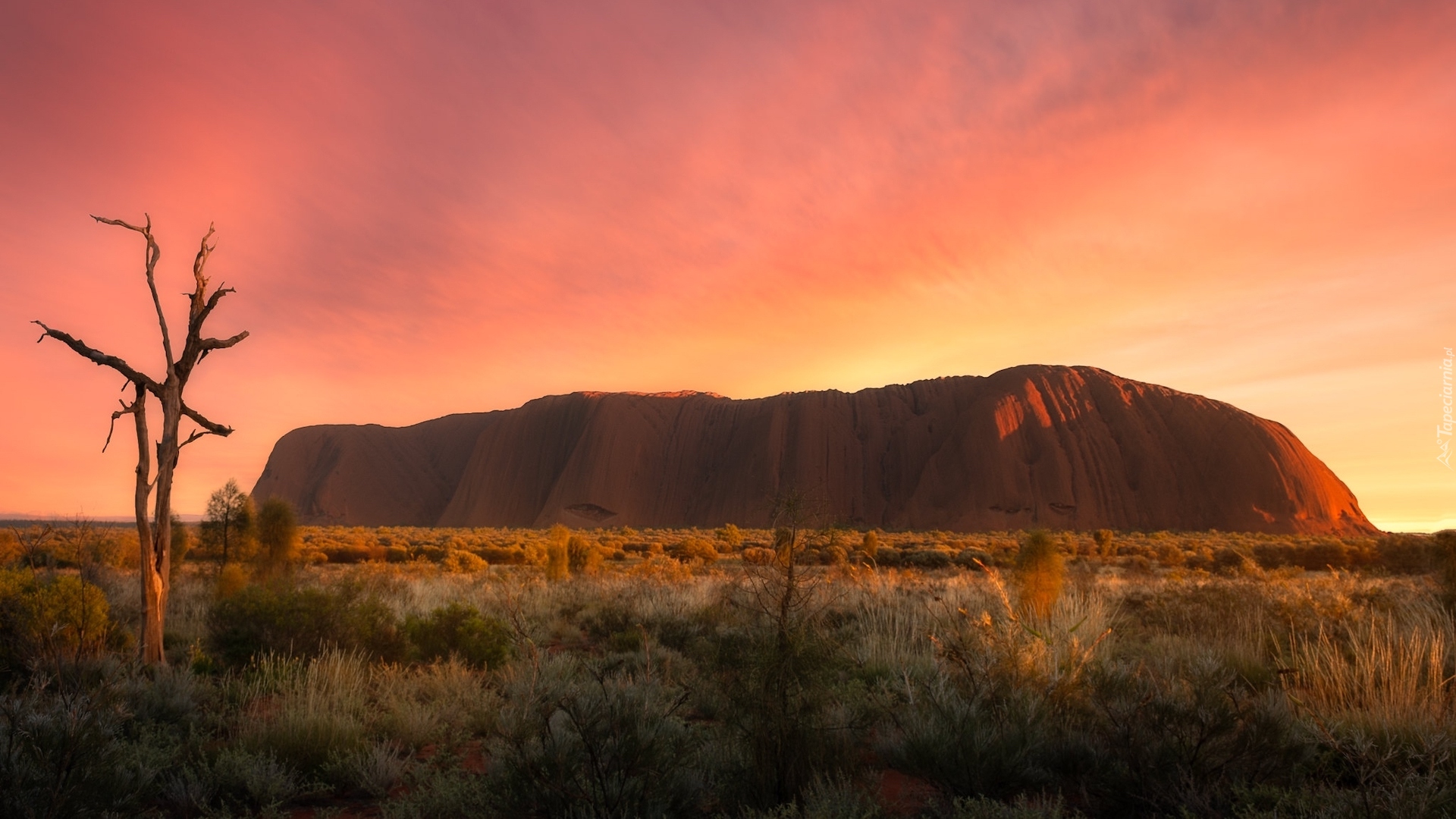 Australia, Wschód słońca, Góra, Skała, Ayers Rock, Uluru, Park Narodowy Uluru Kata Tjuta, Trawa
