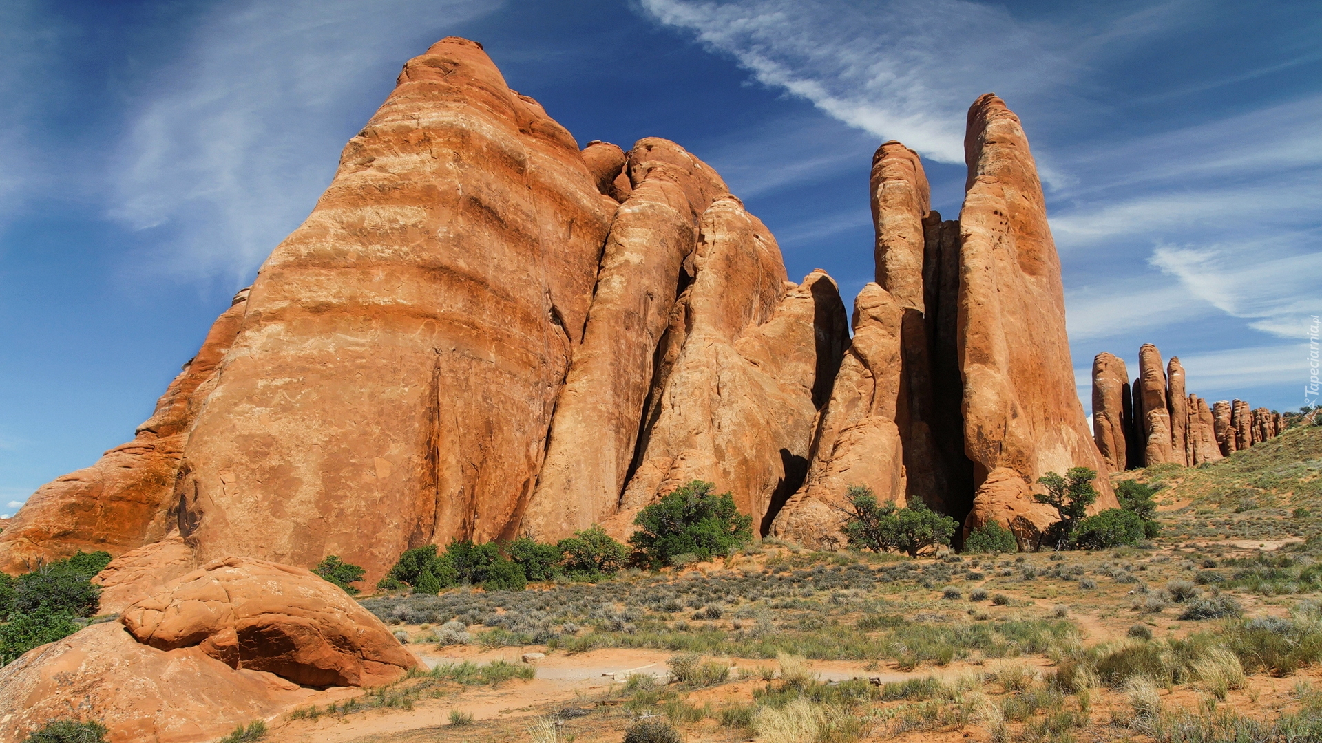 Skały, Drzewa, Krzewy, Suchy, Konar, Park Narodowy Arches, Stan Utah, Stany Zjednoczone