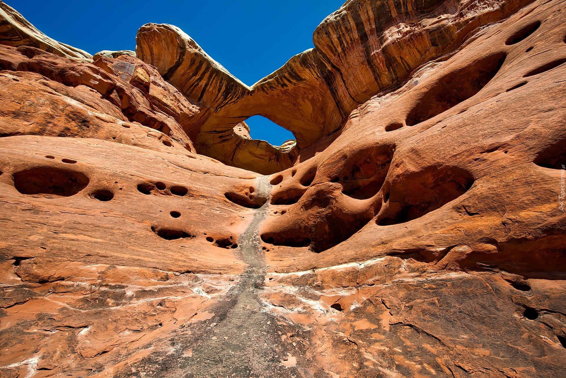 Stany Zjednoczone, Stan Utah, Park Narodowy Canyonlands, Kanion, Skały