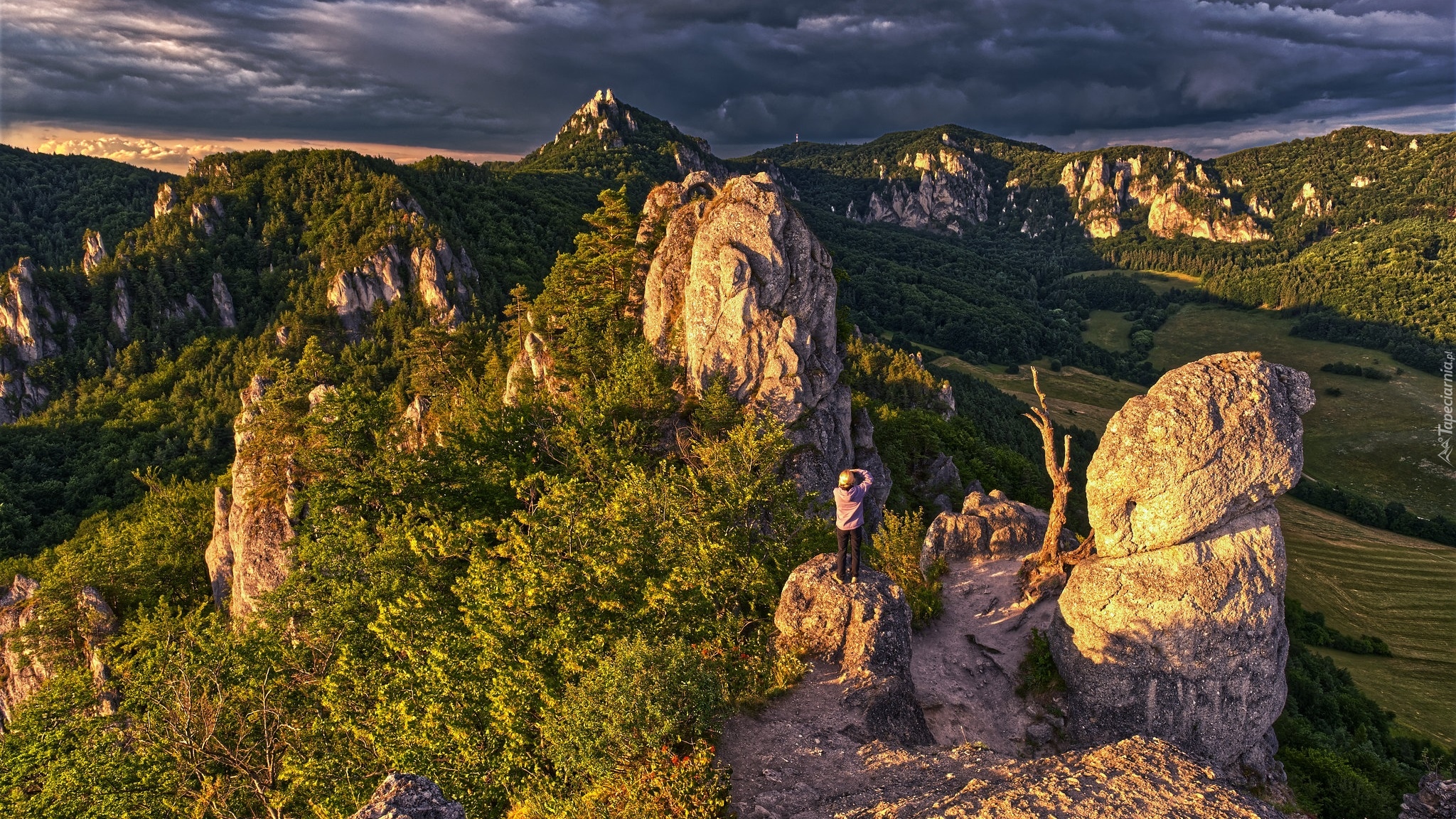 Góry Strażowskie, Karpaty Zachodnie, Skały, Rezerwat, Sulovske skaly, Drzewa, Ciemne, Chmury, Słowacja