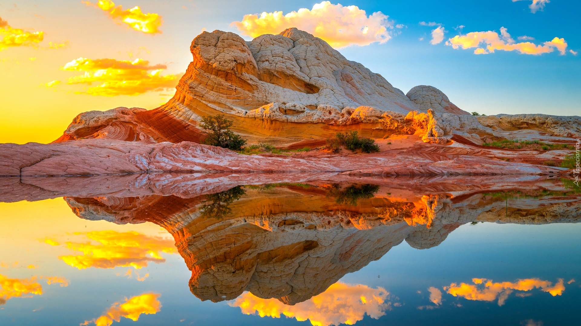 Formacje skalne, White Pocket, Skała, Vermilion Cliffs National Monument, Pomnik narodowy, Arizona, Stany Zjednoczone
