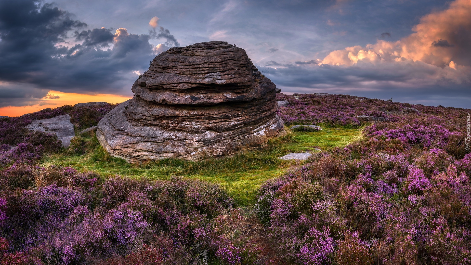 Park Narodowy Peak District, Wzgórze, Over Owler Tor, Skała, Formacja skalna, Wrzosy, Wrzosowisko, Anglia