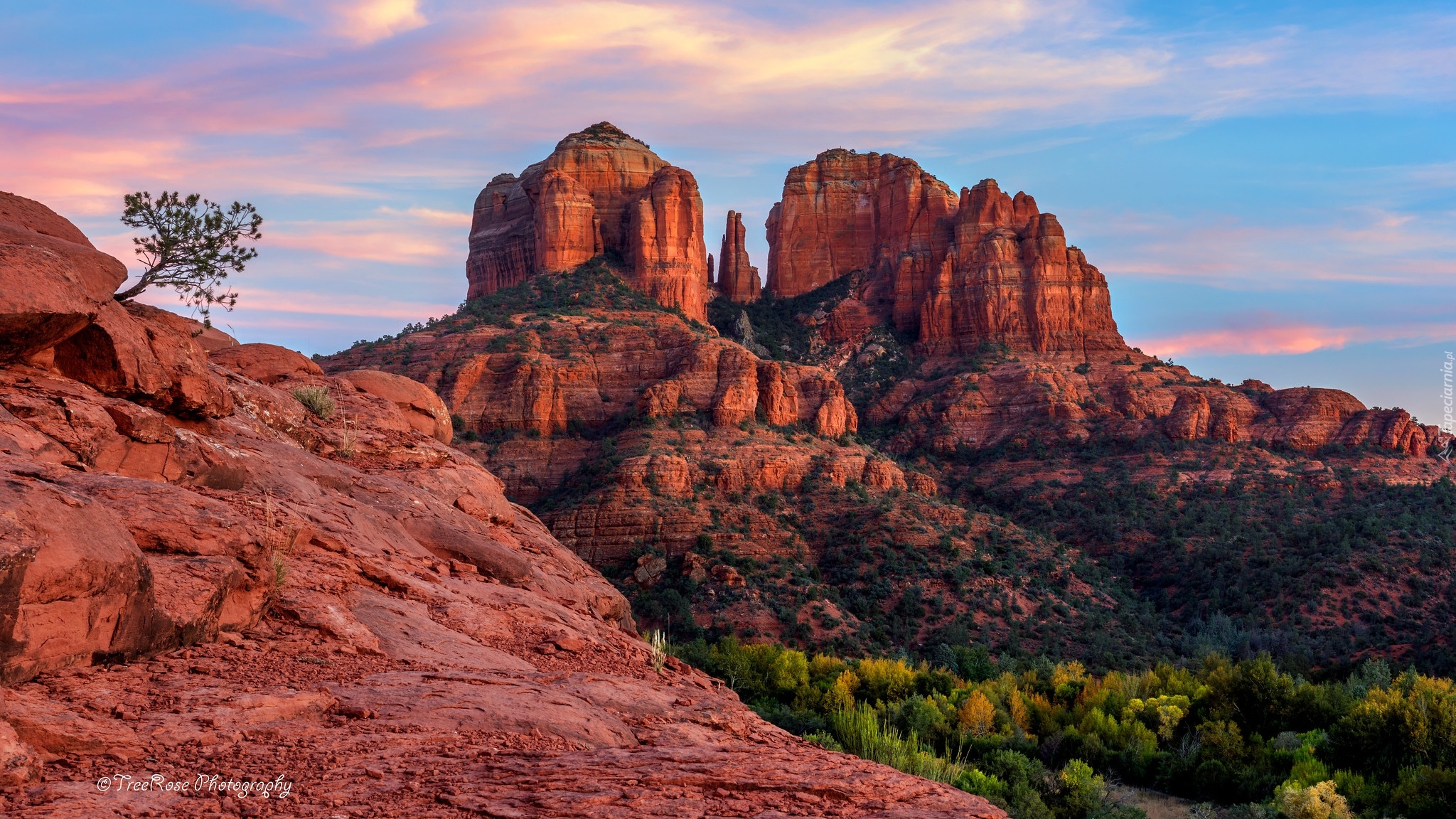 Stany Zjednoczone, Arizona, Sedona, Skały, Czerwone, Drzewa