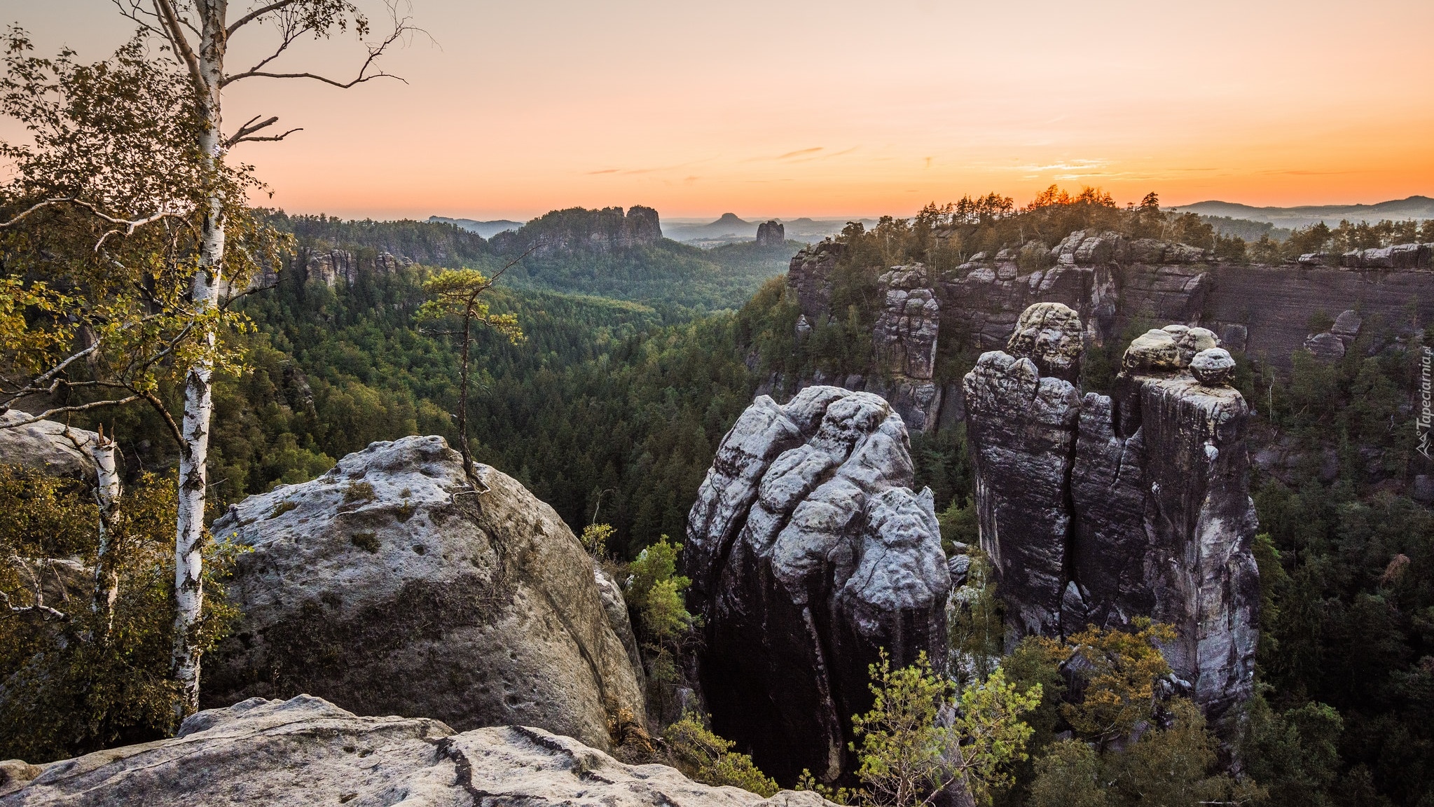 Góry Połabskie, Skały, Bastei, Drzewa, Zachód słońca, Park Narodowy Saskiej Szwajcarii, Niemcy