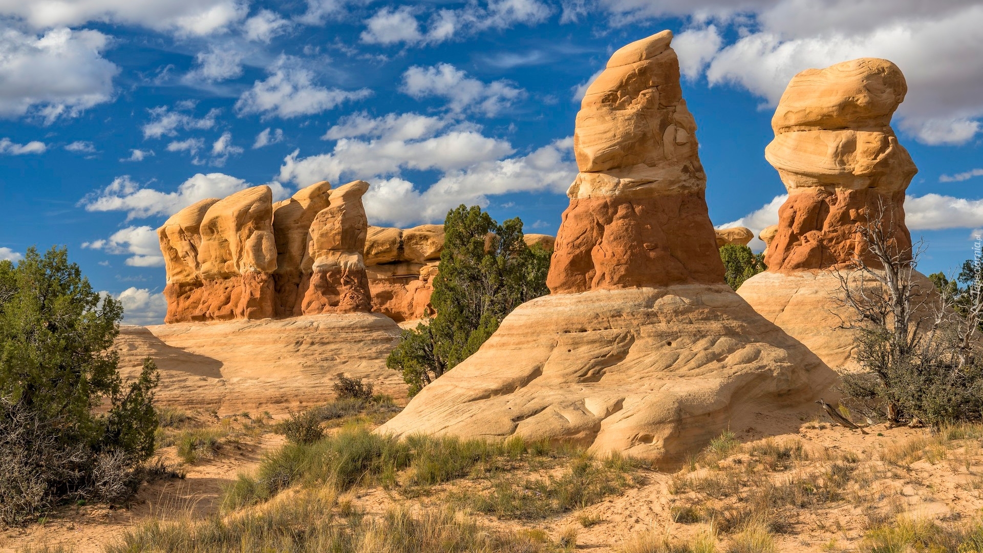 Formacje skalne, Devils Garden, Skały, Rośliny, Krzewy, Park Narodowy Arches, Utah, Stany Zjednoczone