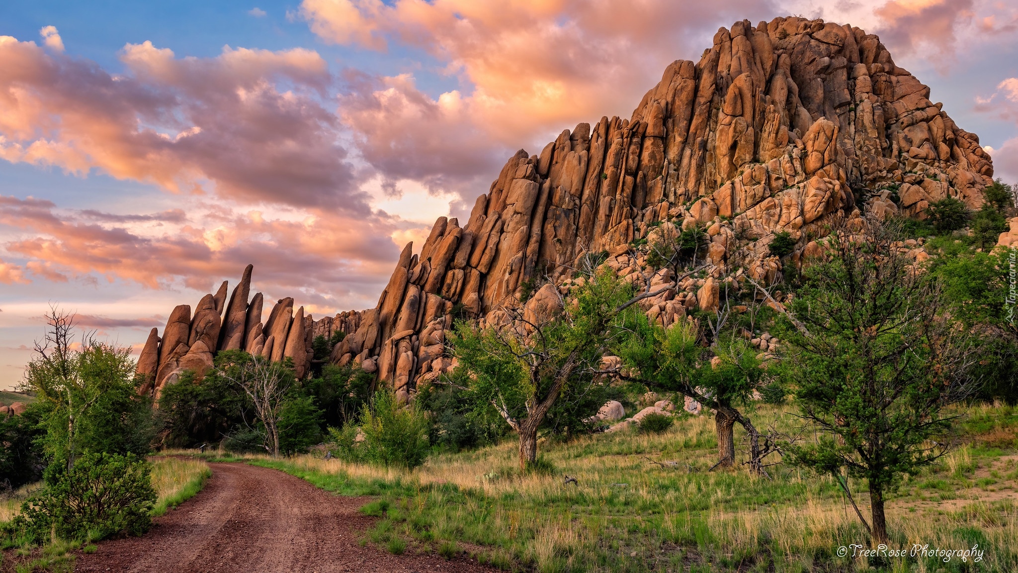 Skały, Point of Rocks, Droga, Drzewa, Szlak Peavine Trail, Prescott, Arizona, Stany Zjednoczone