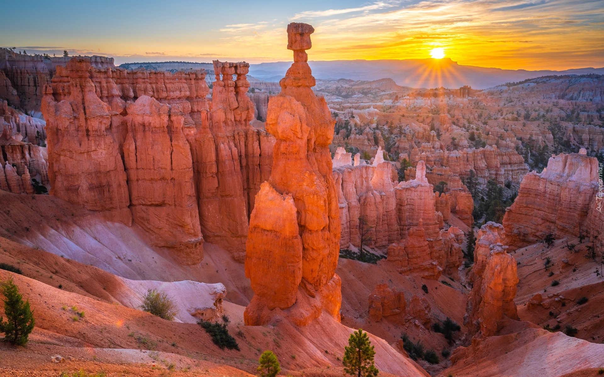 Stany Zjednoczone, Stan Utah, Park Narodowy Bryce Canyon, Formacje skalne, Skały, Roślinność, Wschód słońca