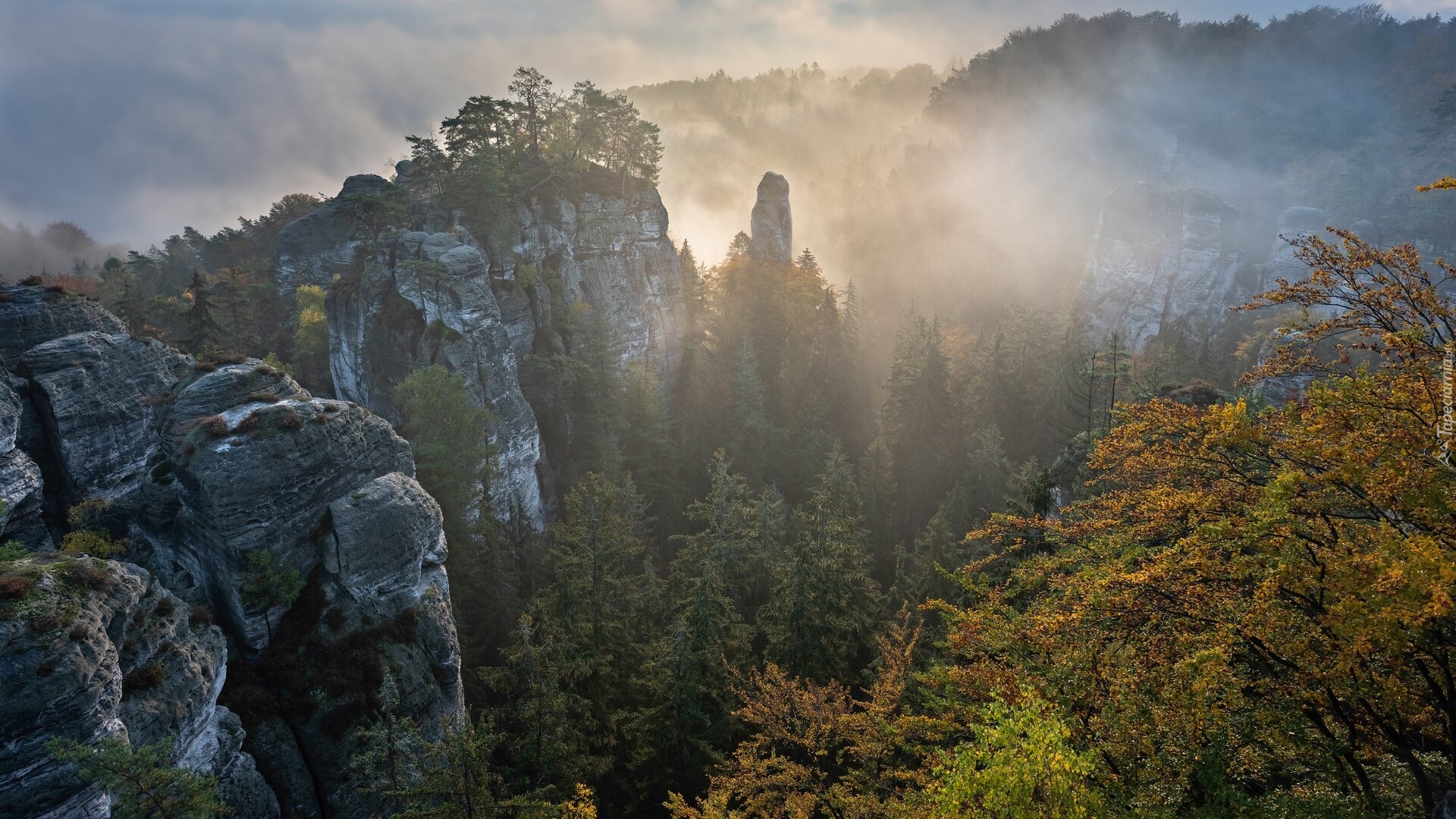 Wschód słońca, Formacje skalne, Hruboskalsko, Mgła, Skały, Drzewa, Skalne Miasto, Czeski Raj, Góry Stołowe, Czechy