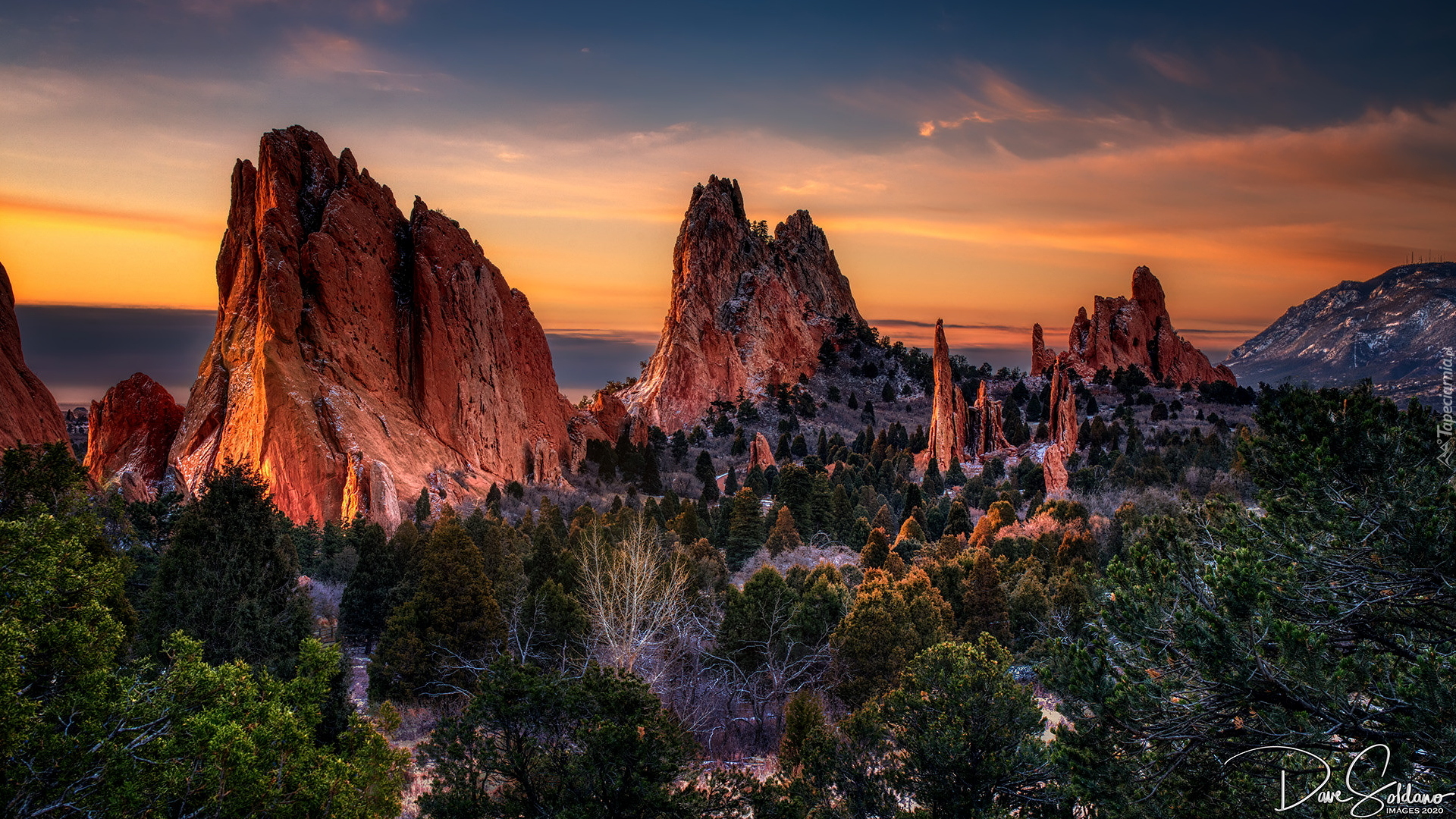 Wschód słońca, Skały, Drzewa, Formacje skalne, Park, Garden of the Gods, Colorado Springs, Kolorado, Stany Zjednoczone