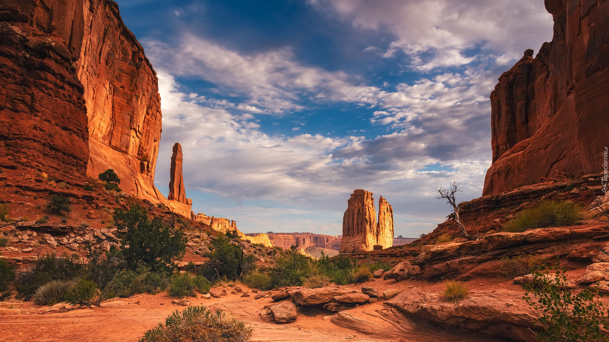 Góry, Skały, Formacja Courthouse Towers, Krzewy, Park Narodowy Arches, Utah, Stany Zjednoczone