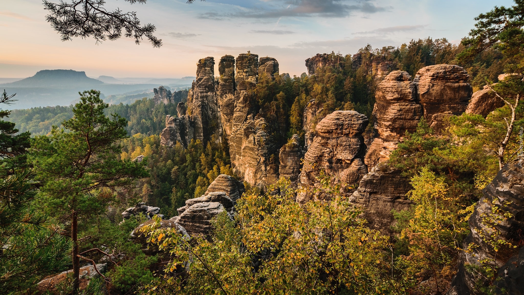 Góry Połabskie, Skały, Bastei, Drzewa, Park Narodowy Saskiej Szwajcarii, Niemcy