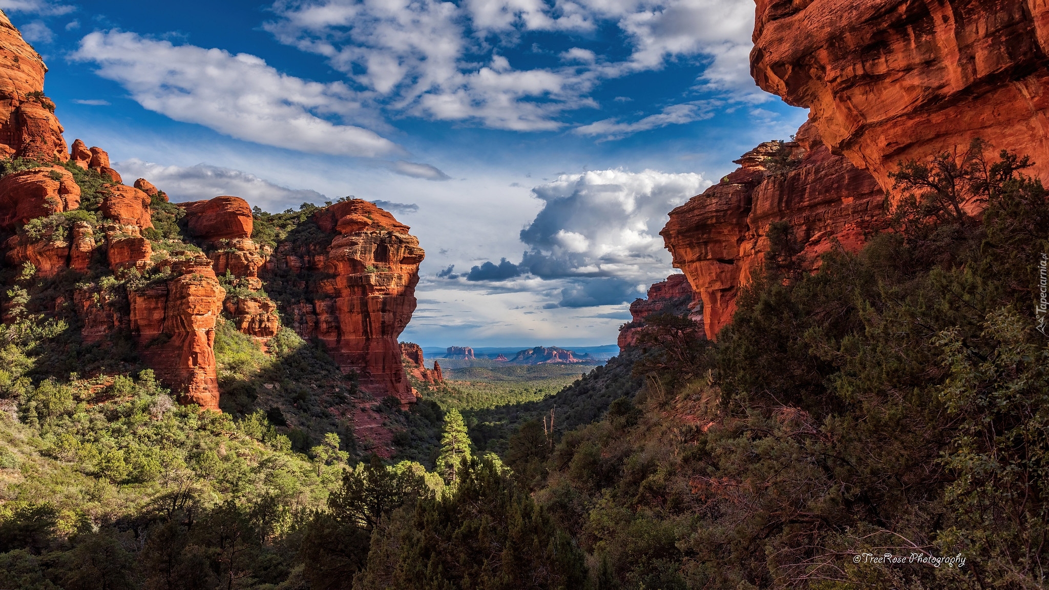 Stany Zjednoczone, Stan Arizona, Sedona, Skały, Formacje skalne, Drzewa