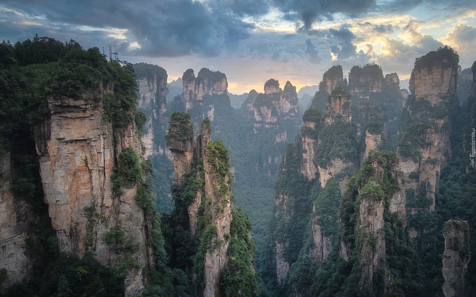 Wulingyuan Scenic Area, Las, Drzewa, Skały, Góry, Zhangjiajie National Forest Park, Hunan, Chiny