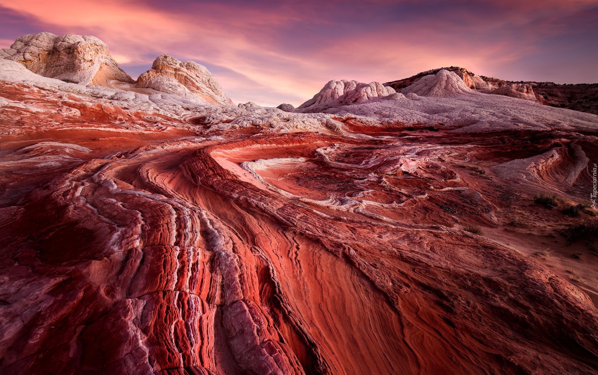 Skały, Formacje, White Pocket, Vermilion Cliffs National Monument, Pomnik narodowy, Arizona, Stany Zjednoczone