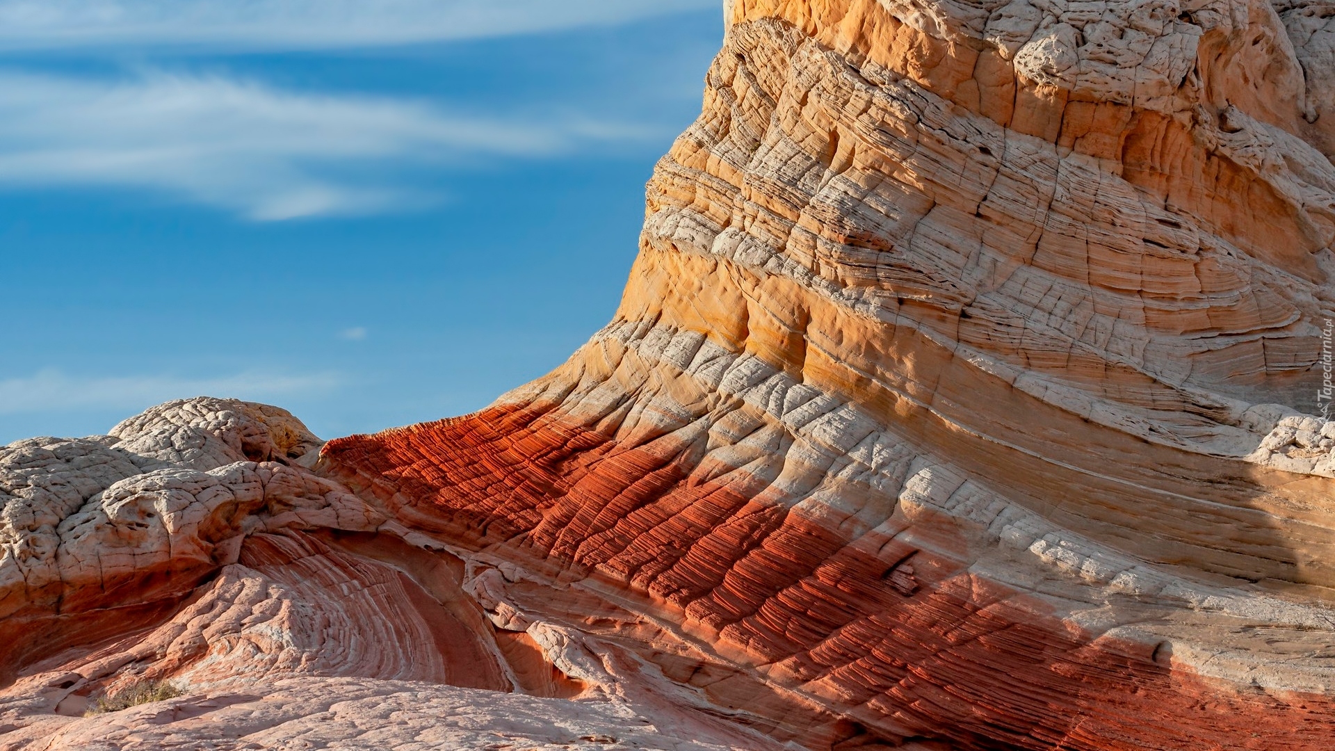 Formacja skalna, White Pocket, Skała, Vermilion Cliffs National Monument, Pomnik narodowy, Arizona, Stany Zjednoczone