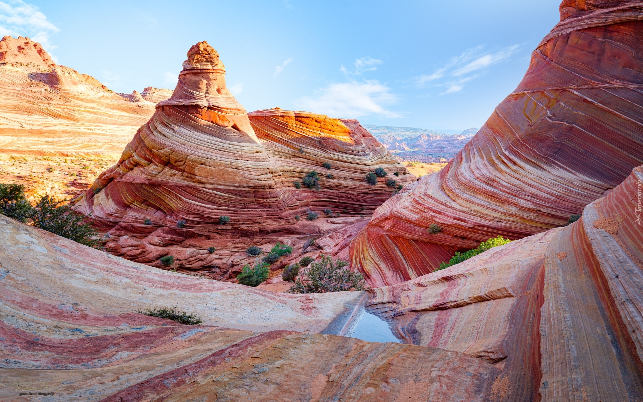 Skały, Formacja, The Wave, Arizona, Stany Zjednoczone