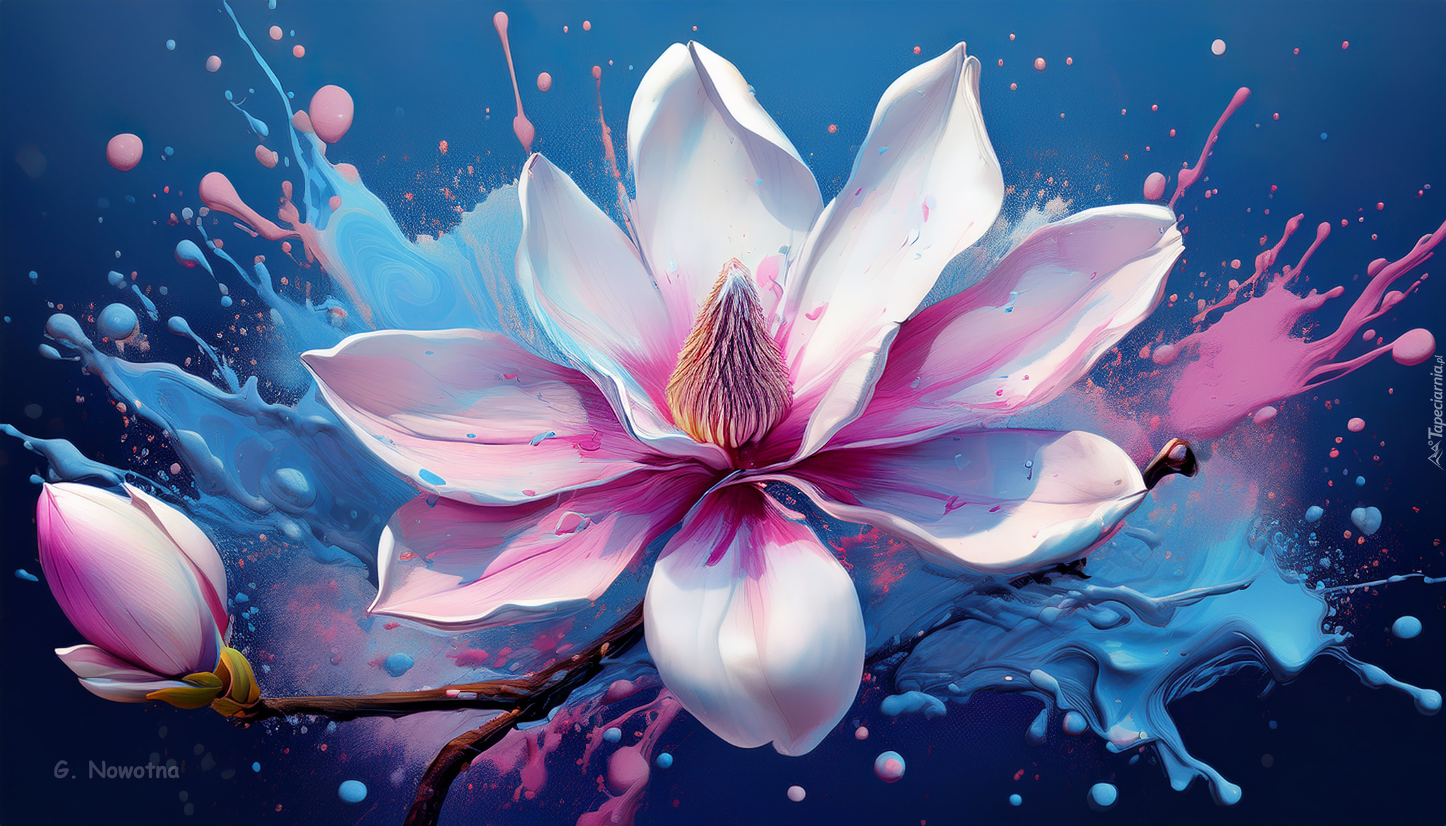Magnolia, Rozbryzgi, Farby, Grafika
