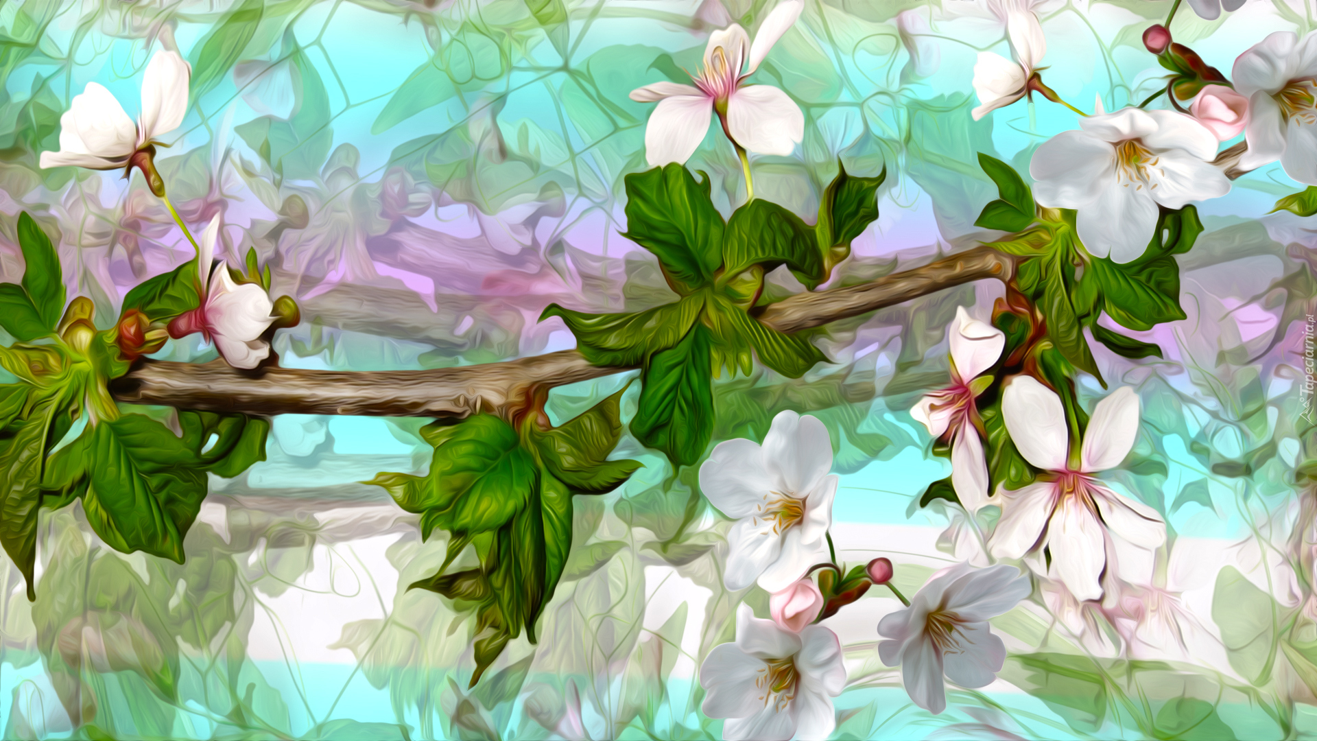 Grafika, Gałązka, Kwiaty, Drzewo owocowe