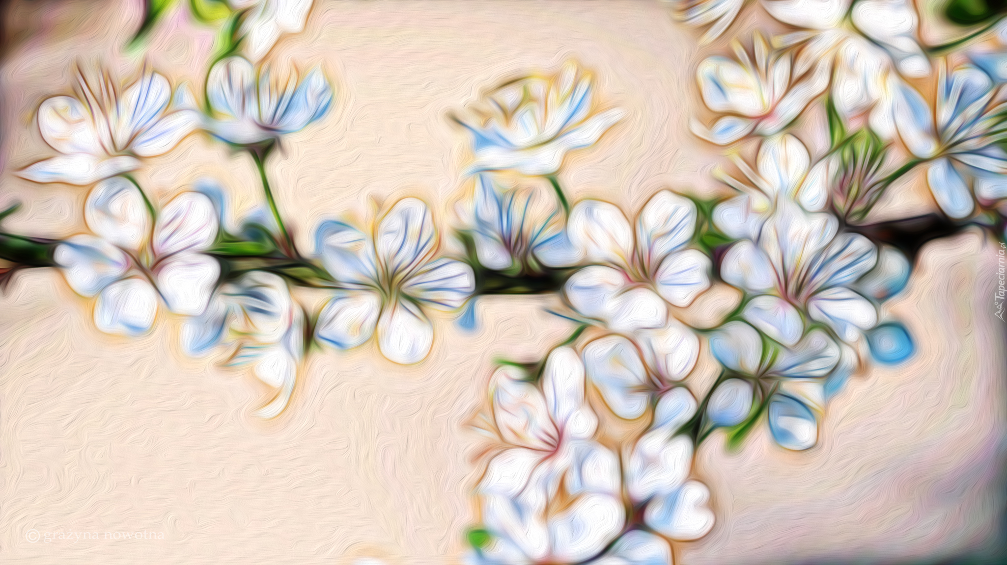 Kwiaty, Gałązka, Grafika