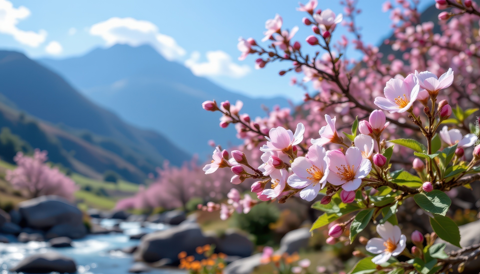 Różowe, Kwiaty, Gałązki, Góry, Niebo, Grafika AI