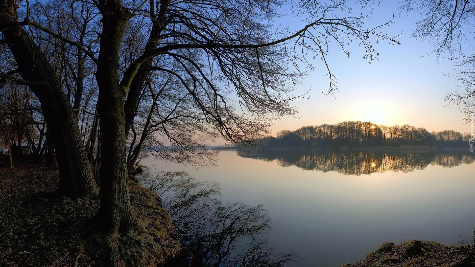 Jezioro, Drzewa, Wschód słońca