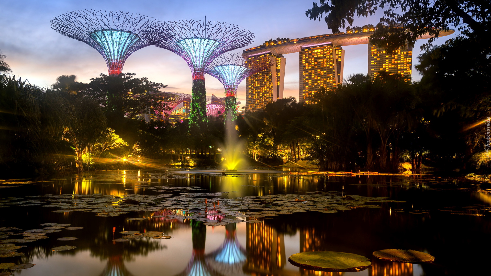 Staw, Hotel, Marina Bay Sands, Ogród, Gardens by the Bay, Singapur