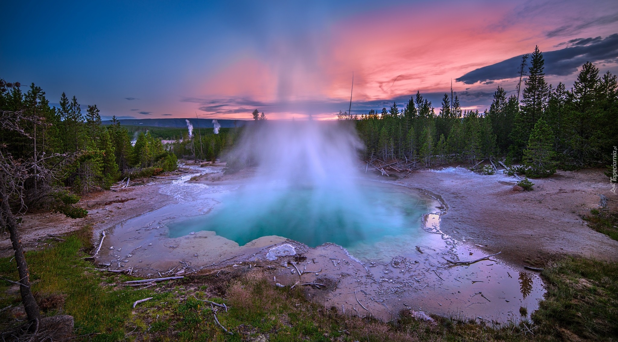 Stany Zjednoczone, Stan Wyoming, Park Narodowy Yellowstone, Gejzery, Gorące źródła