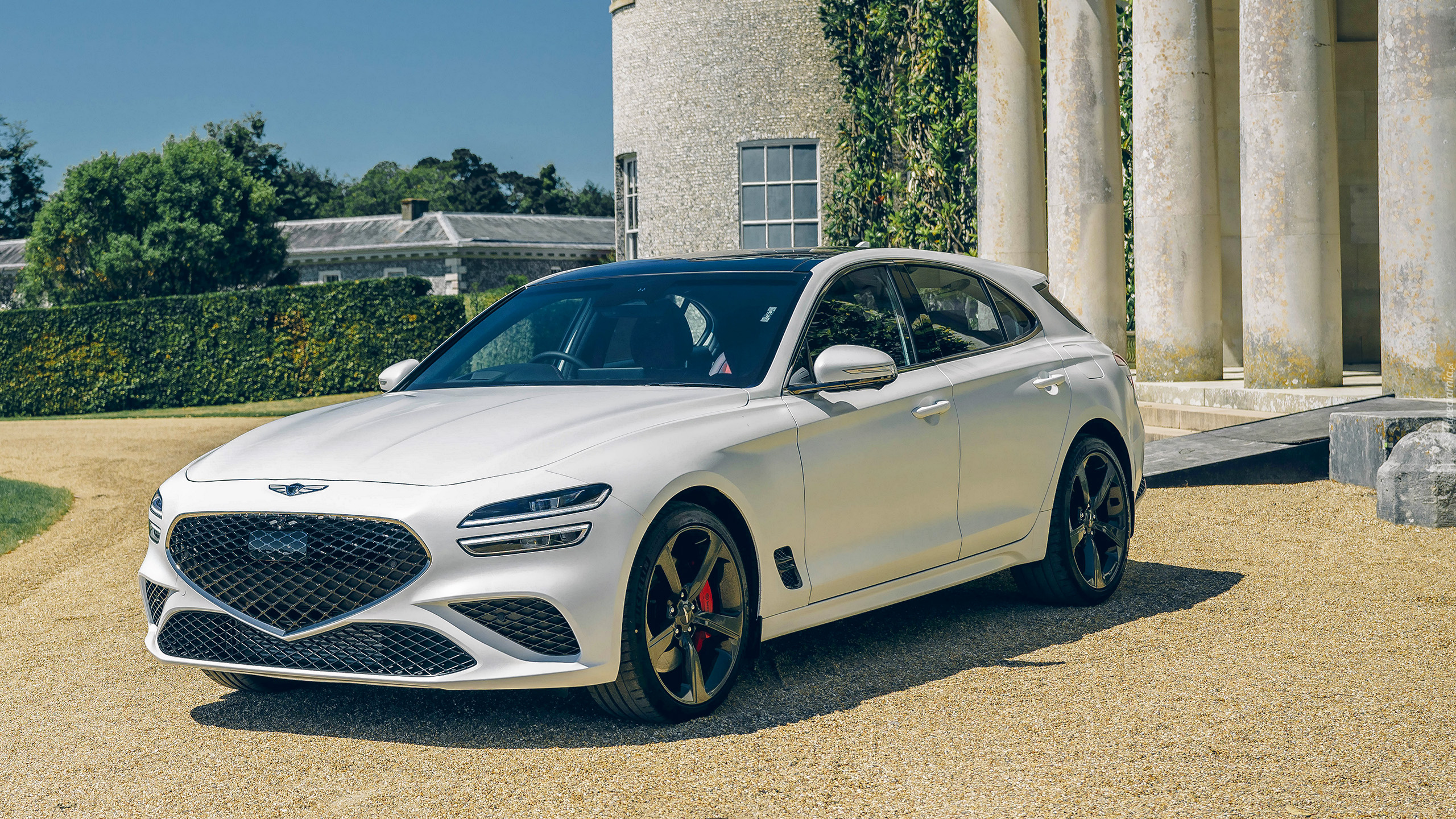 Biały, Genesis G70 Shooting Brake