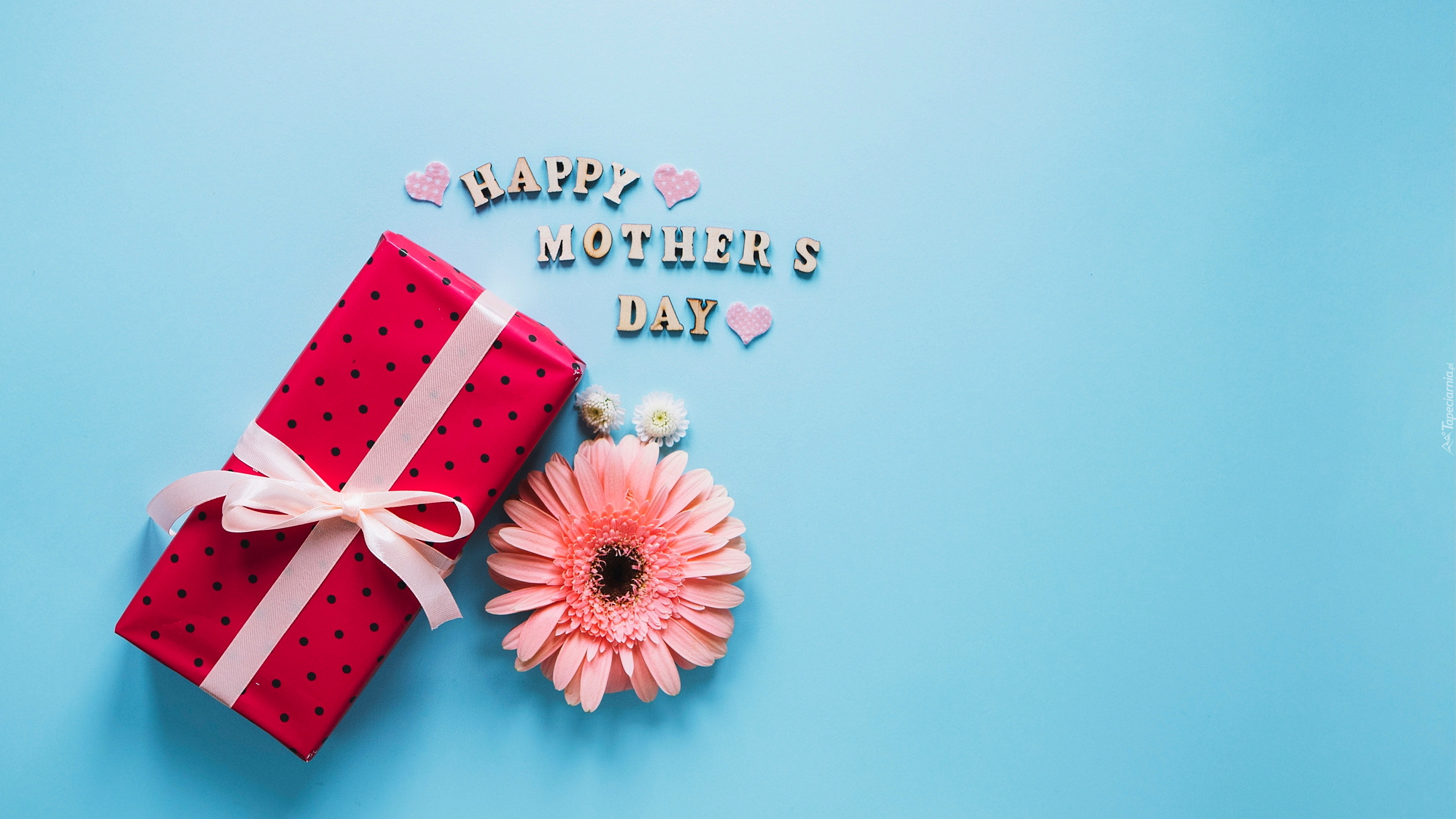 Dzień Matki, Prezent, Gerbera, Napis, Happy Mothers Day, Niebieskie, Tło