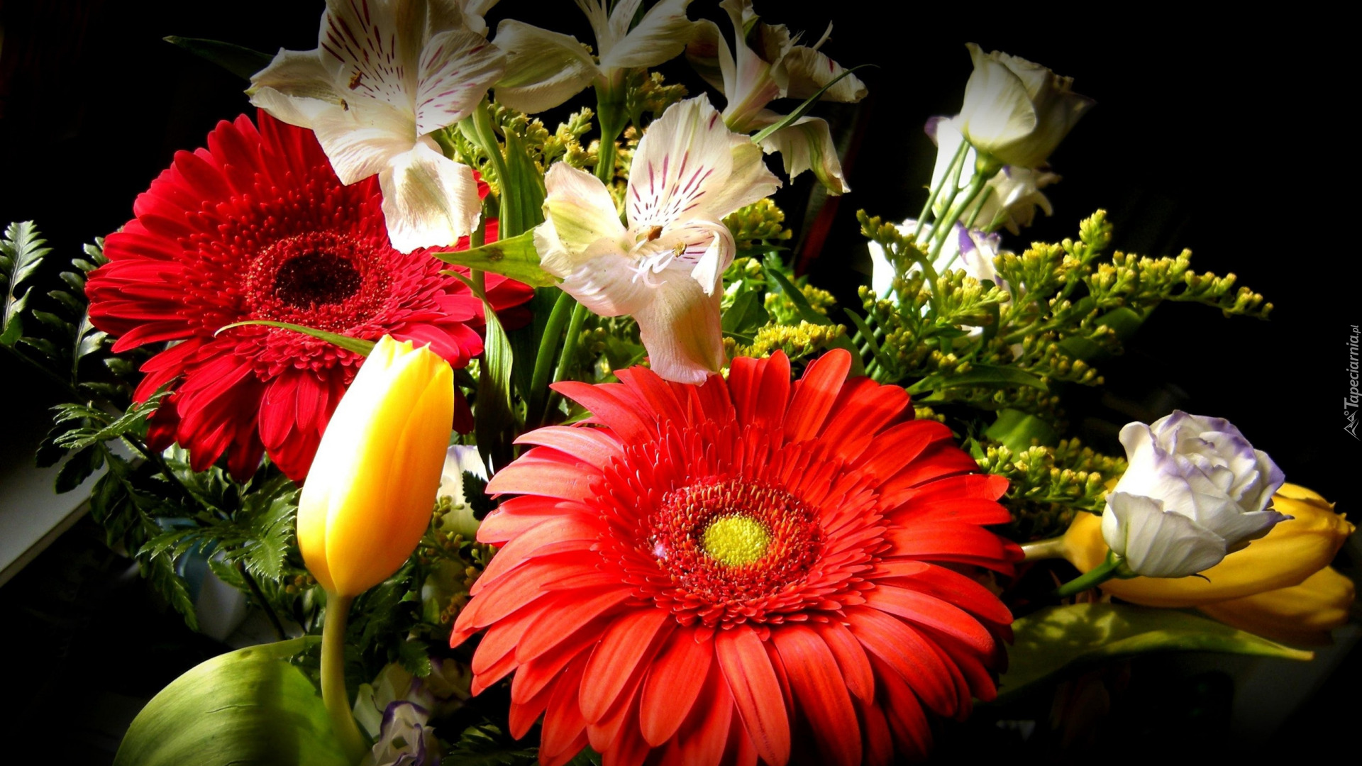 Kwiaty, Bukiet, Gerbera, Alstremeria