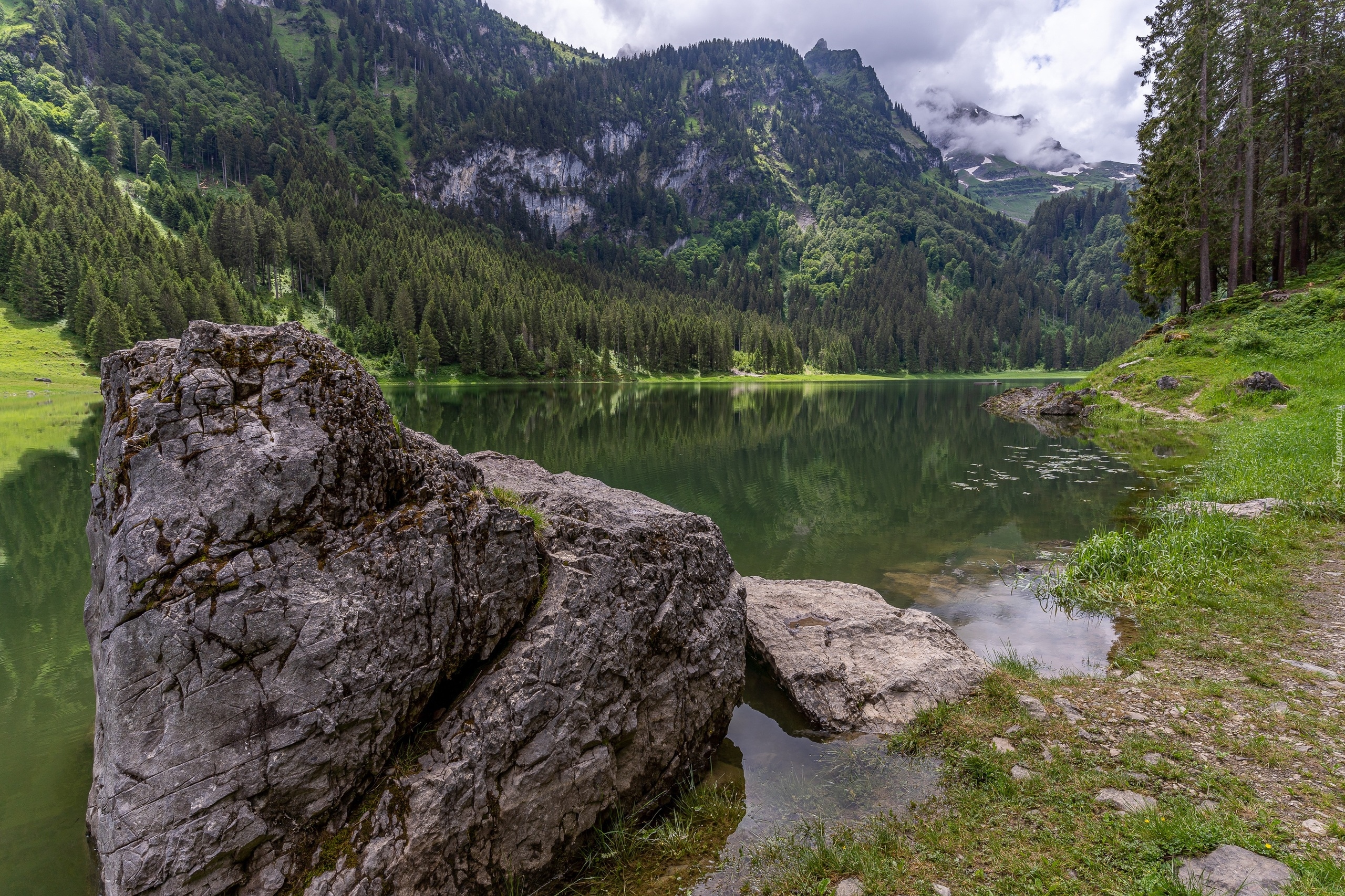 Jezioro Voralpsee, Kamień, Góry, Alpy, Drzewa, Lasy, Kanton Sankt Gallen, Szwajcaria