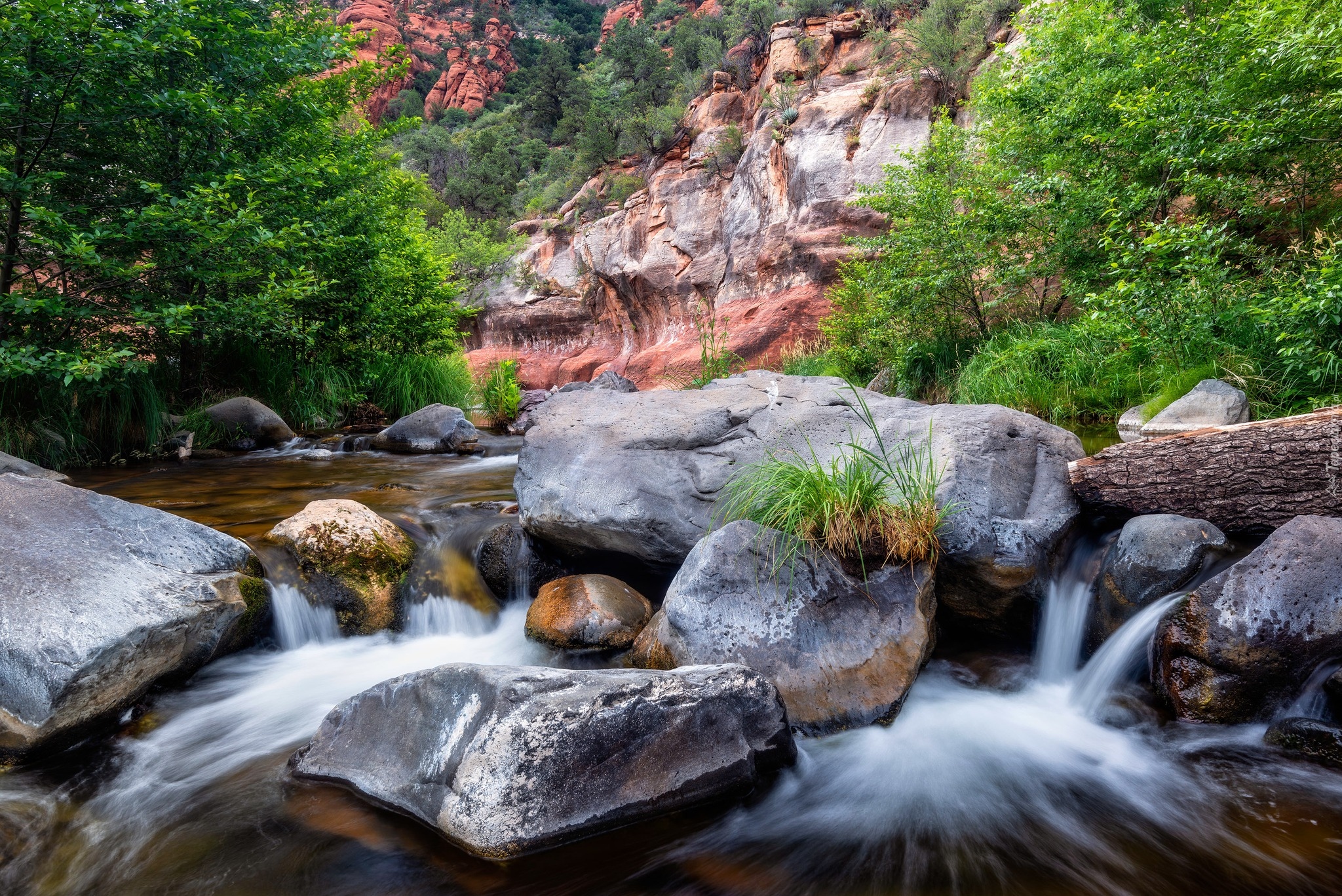 Skały, Cathedral Rock, Drzewa, Rzeka, Oak Creek, Głazy, Kamienie, Sedona, Arizona, Stany Zjednoczone