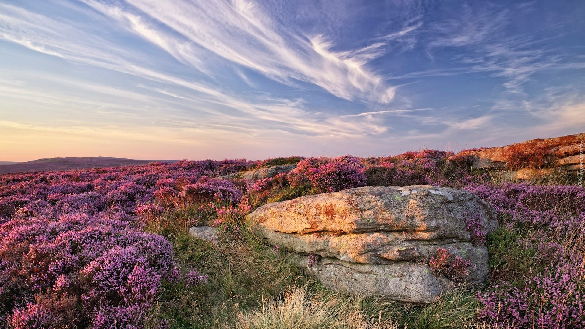 Anglia, Park Narodowy Peak District, Wrzosowisko, Wzgórze, Głazy