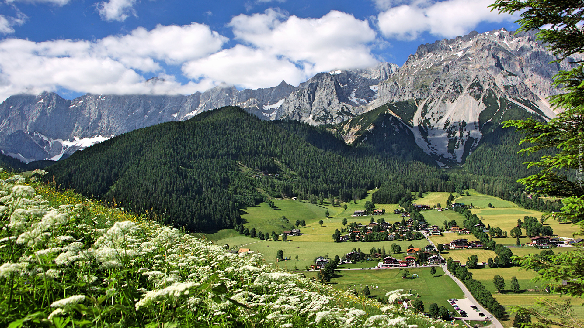 Austria, Gmina Ramsau am Dachstein, Góry Alpy Salzburskie, Domy, Dolina, Roślinność