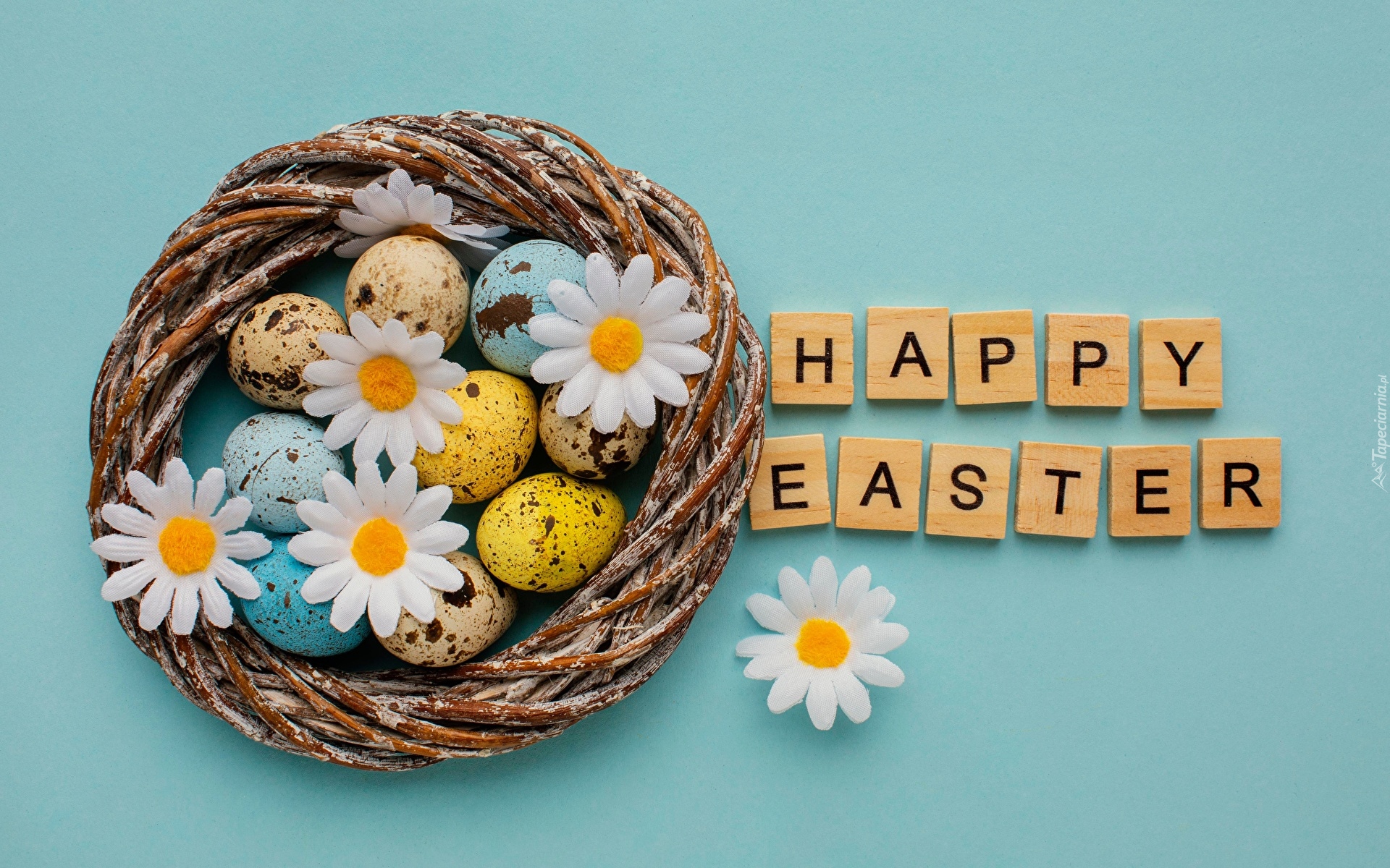 Wielkanoc, Gniazdo, Pisanki, Życzenia, Napis, Happy Easter, Kwiaty, Stokrotki